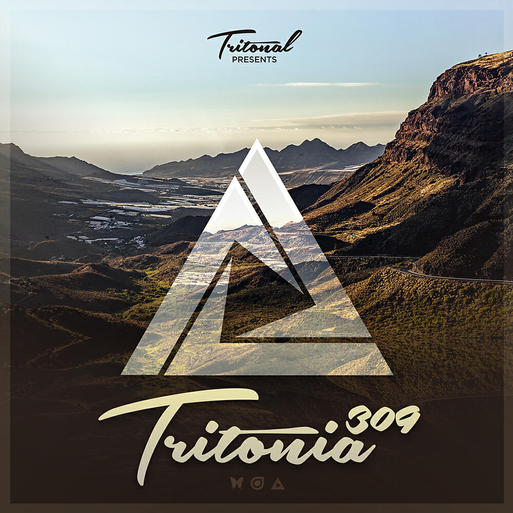 Matt Fax - Fallen (Tritonia 309) (PROFF Remix)