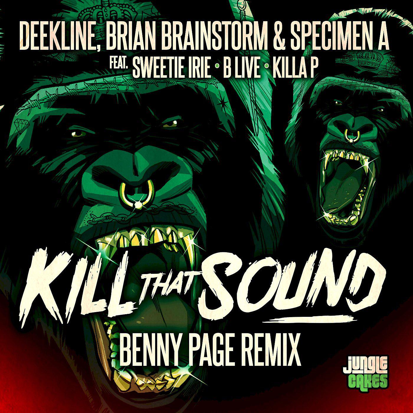Постер альбома Kill That Sound (Benny Page Remix)