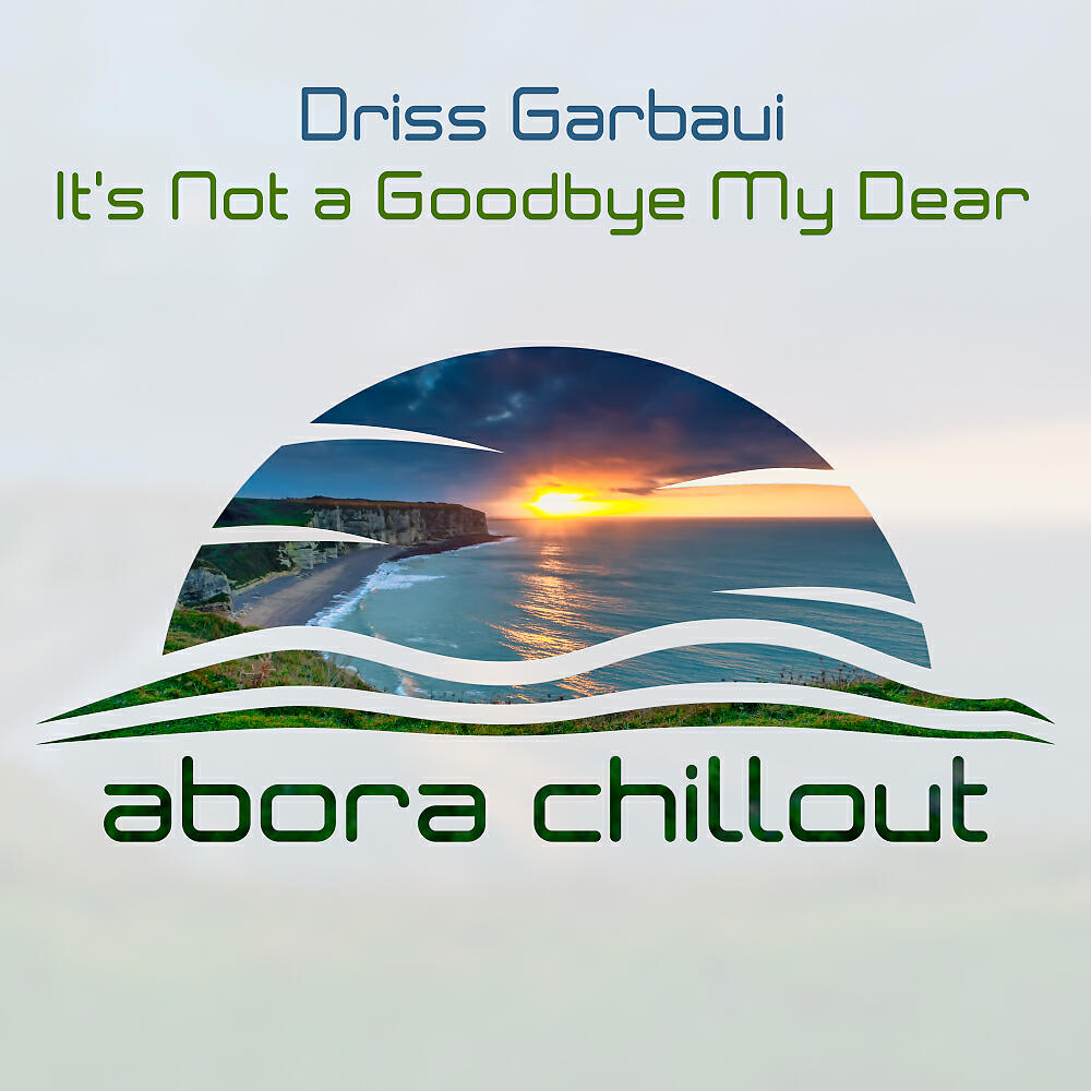 Driss Garbaui - It's Not A Goodbye My Dear (Original Mix)