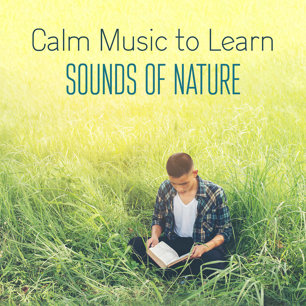 Study Skills Music Academy - Windy Weather Time