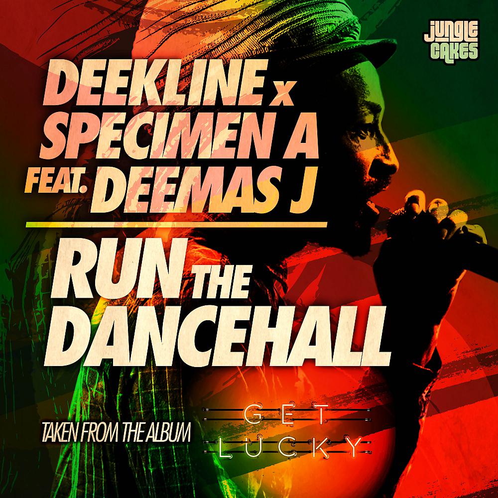 Постер альбома Run The Dancehall