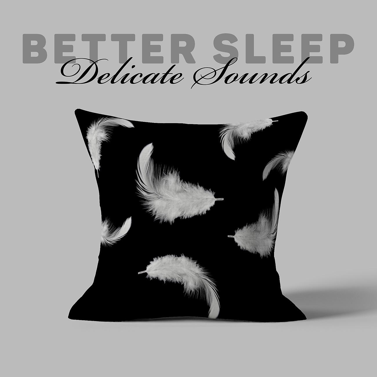 Постер альбома Better Sleep - Delicate Sounds