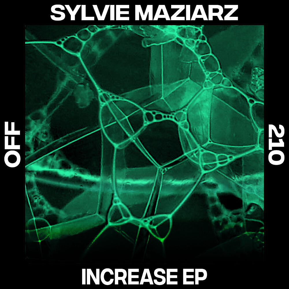 Sylvie Maziarz - Increase (Pär Grindvik Remix)