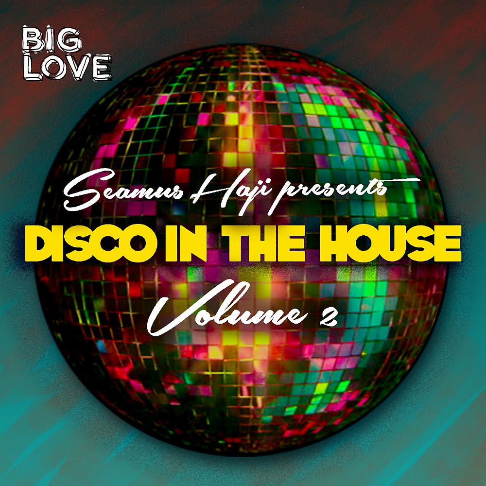 Постер альбома Seamus Haji Presents Disco In The House, Vol. 2
