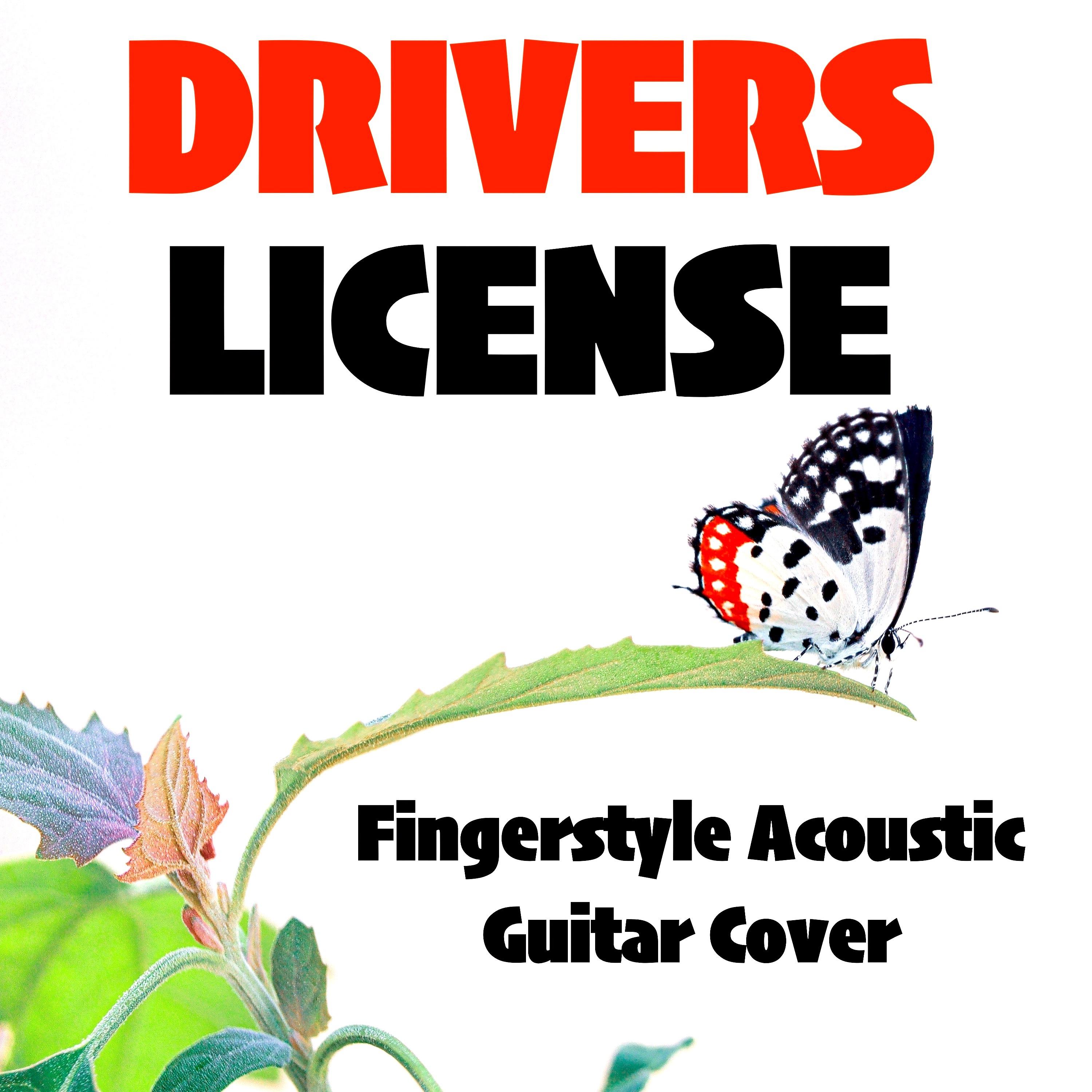 Постер альбома Drivers License (Fingerstyle Acoustic Guitar Cover)