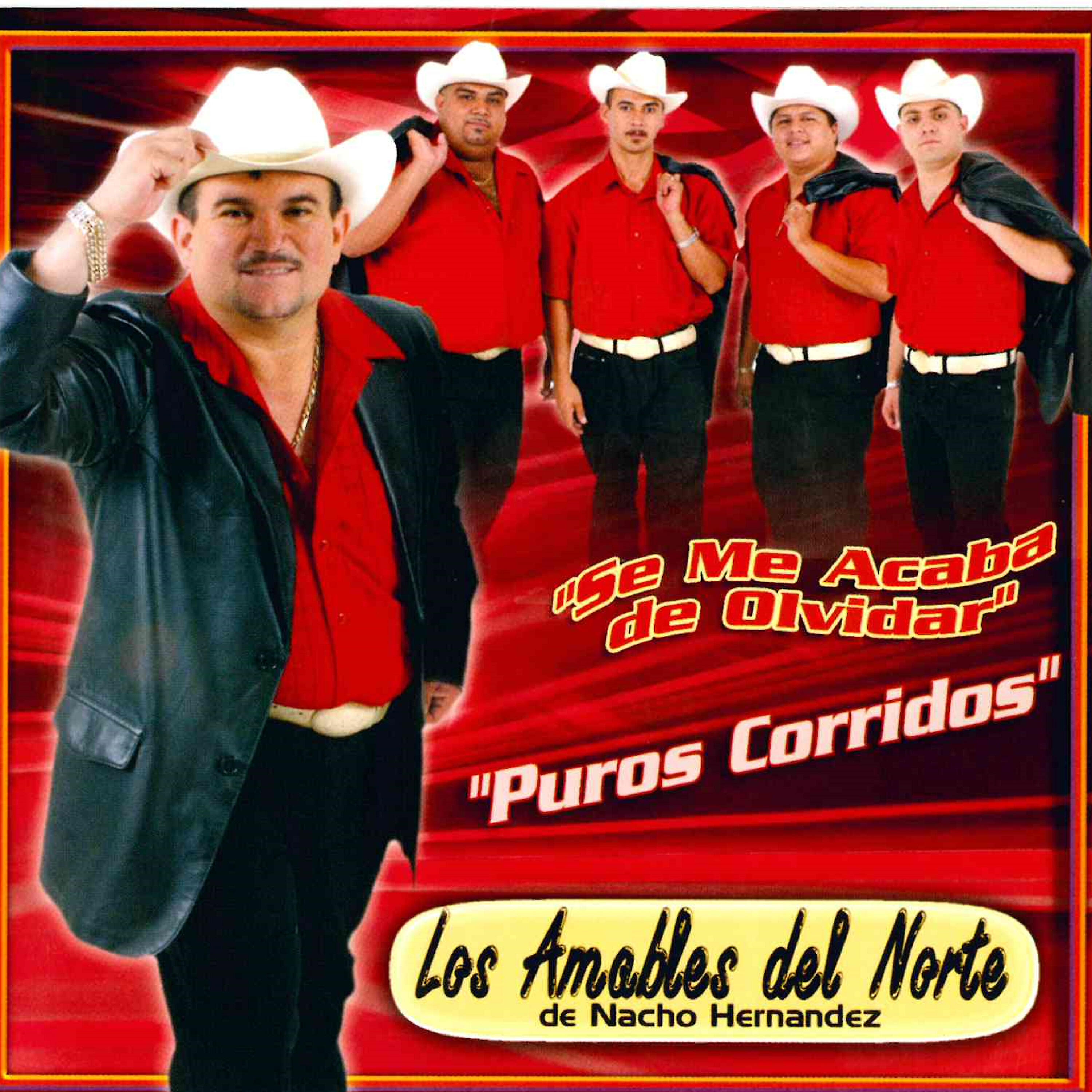 Los Amables Del Norte - Hermano No Seas Cobarde