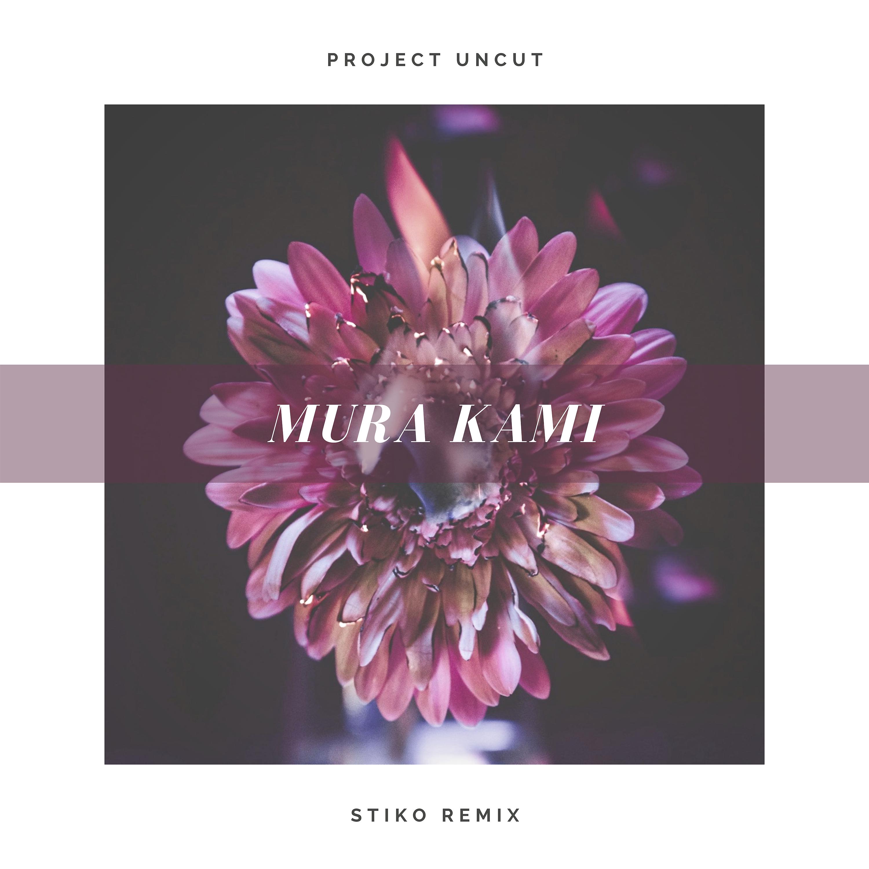 Постер альбома Mura Kami (Stiko Remix)