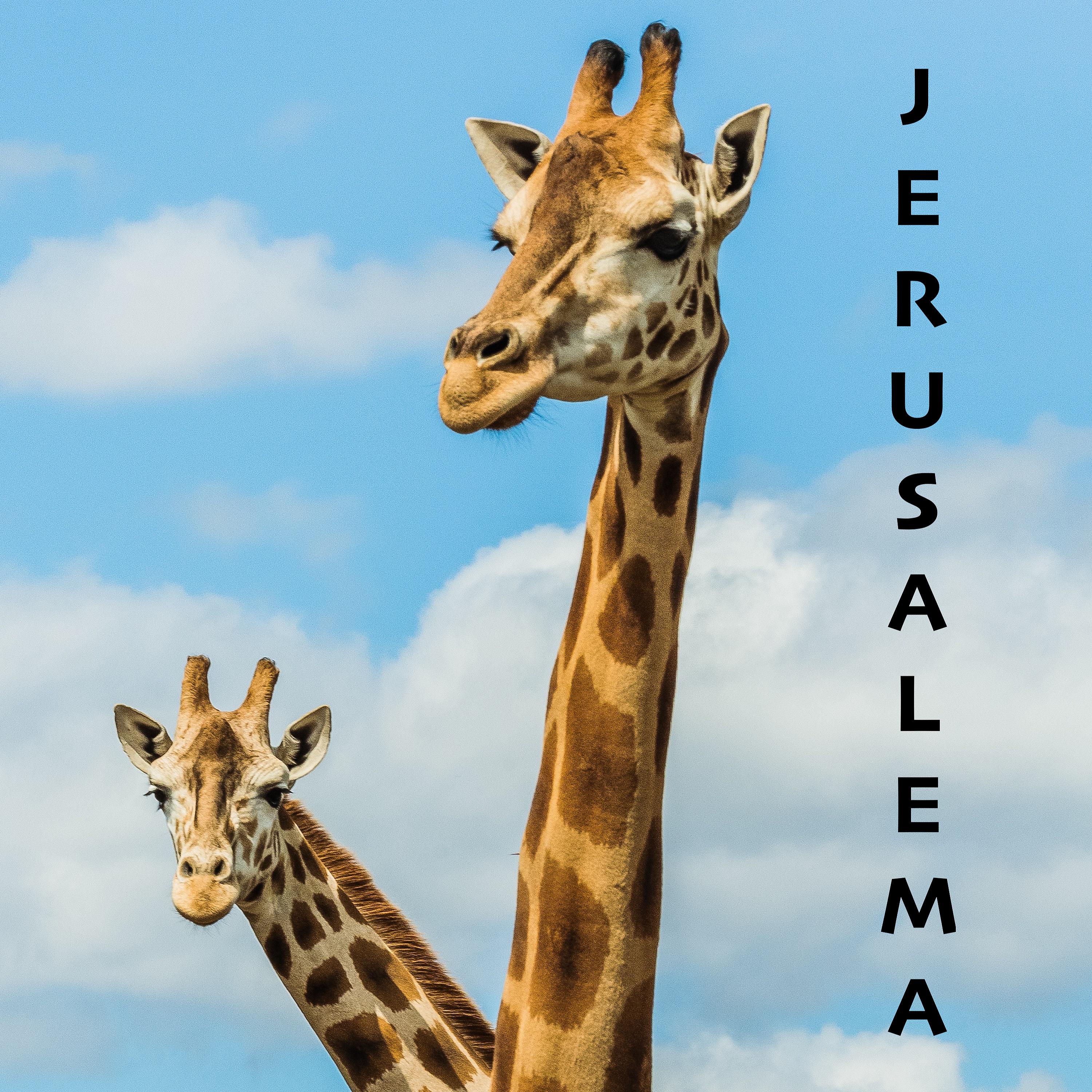 Постер альбома Jerusalema (Guitar Ukulele Version, Acoustic Backing Track)