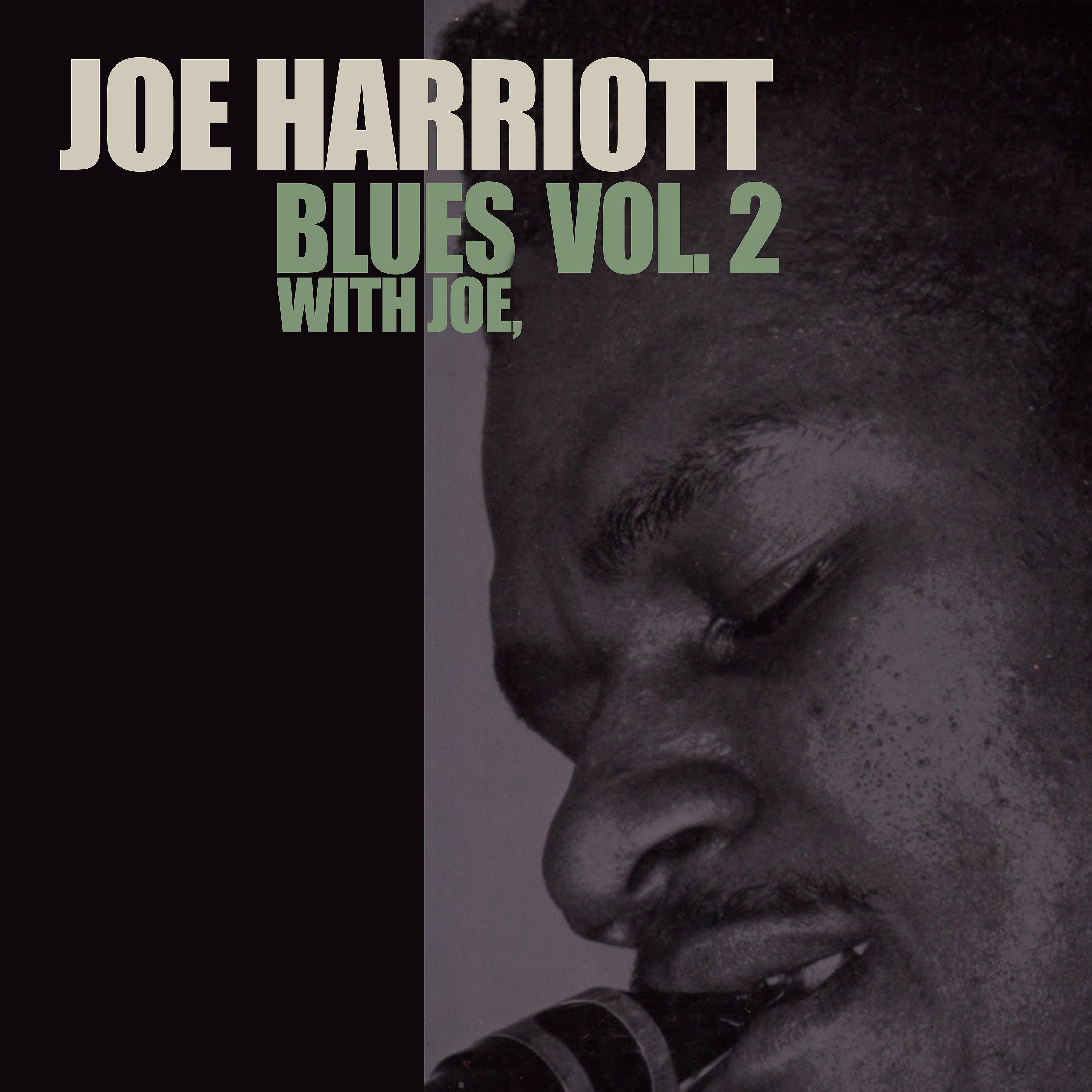 Постер альбома Blues with Joe, Vol. 2