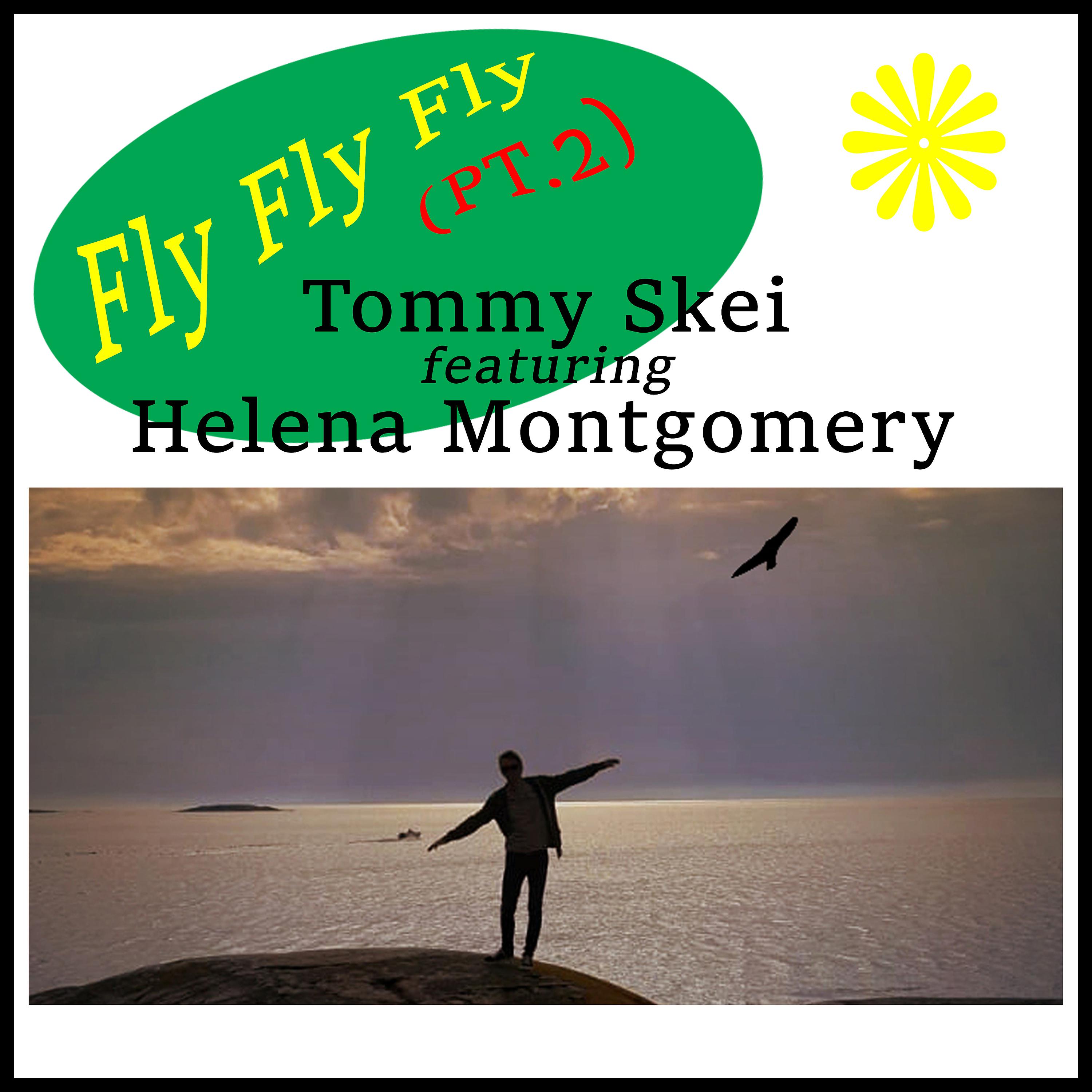 Постер альбома Fly Fly Fly, (Pt .2) (Remix)