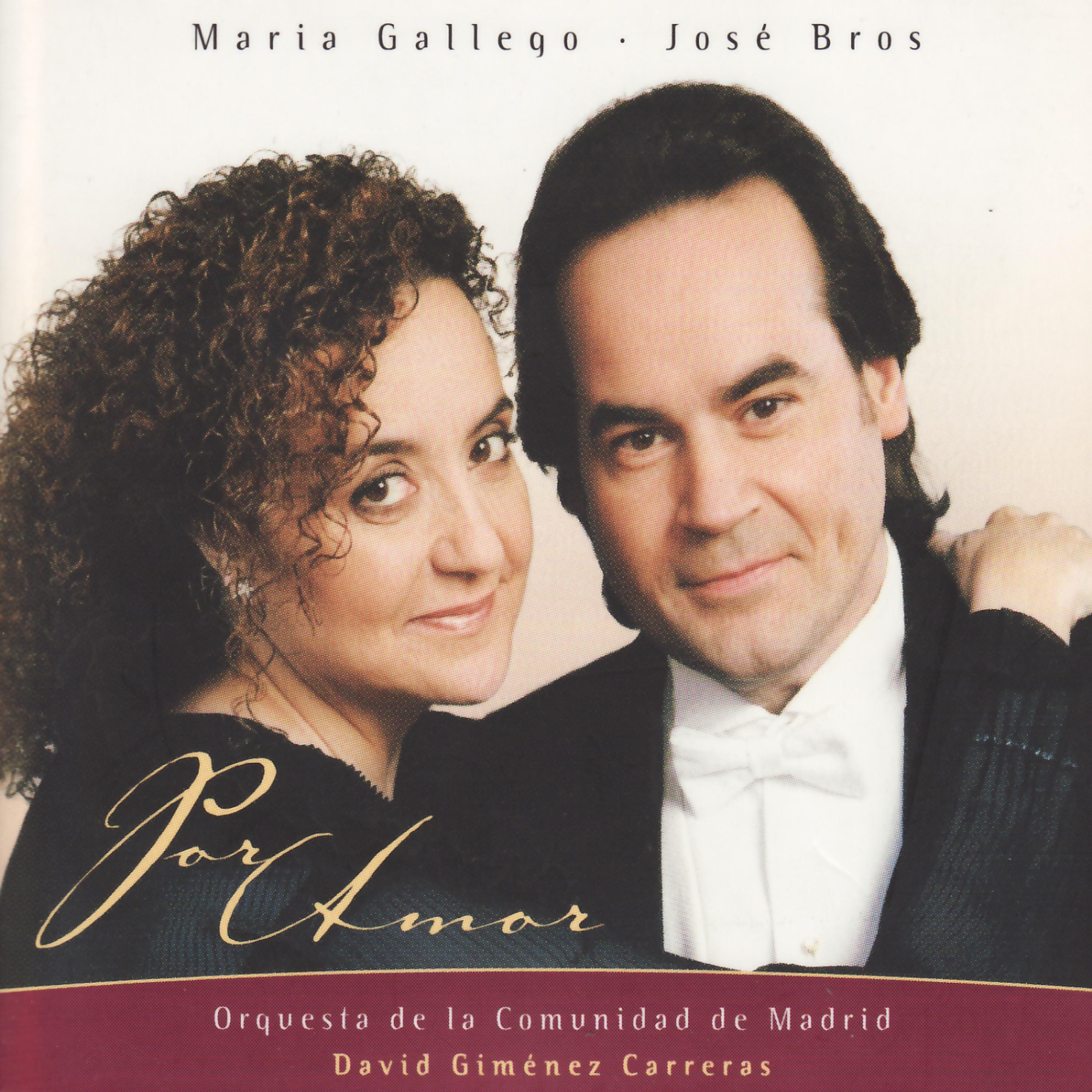 Постер альбома Por Amor - Romanzas y Duos de Zarzuela