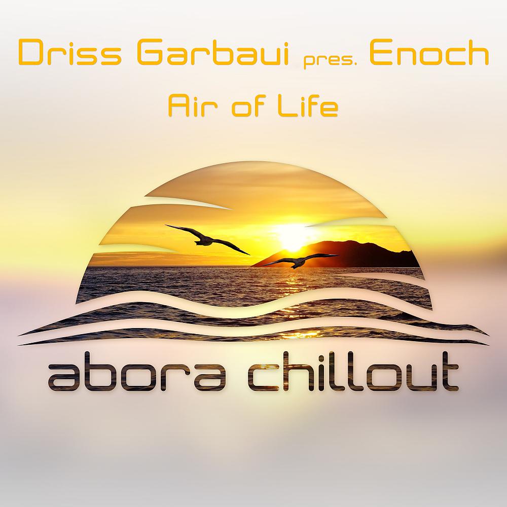 Постер альбома Air of Life