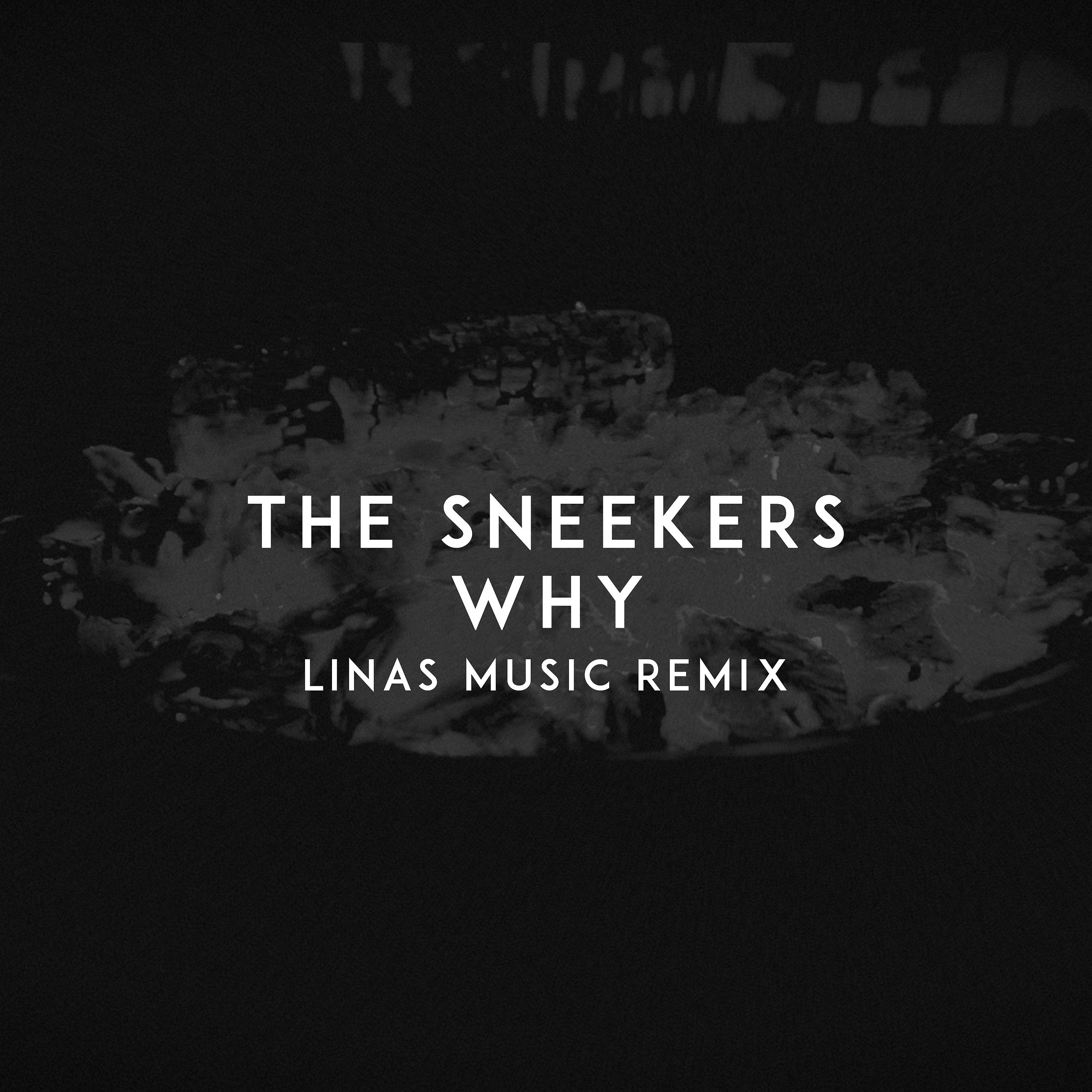 Постер альбома Why (Linas Music Remix)