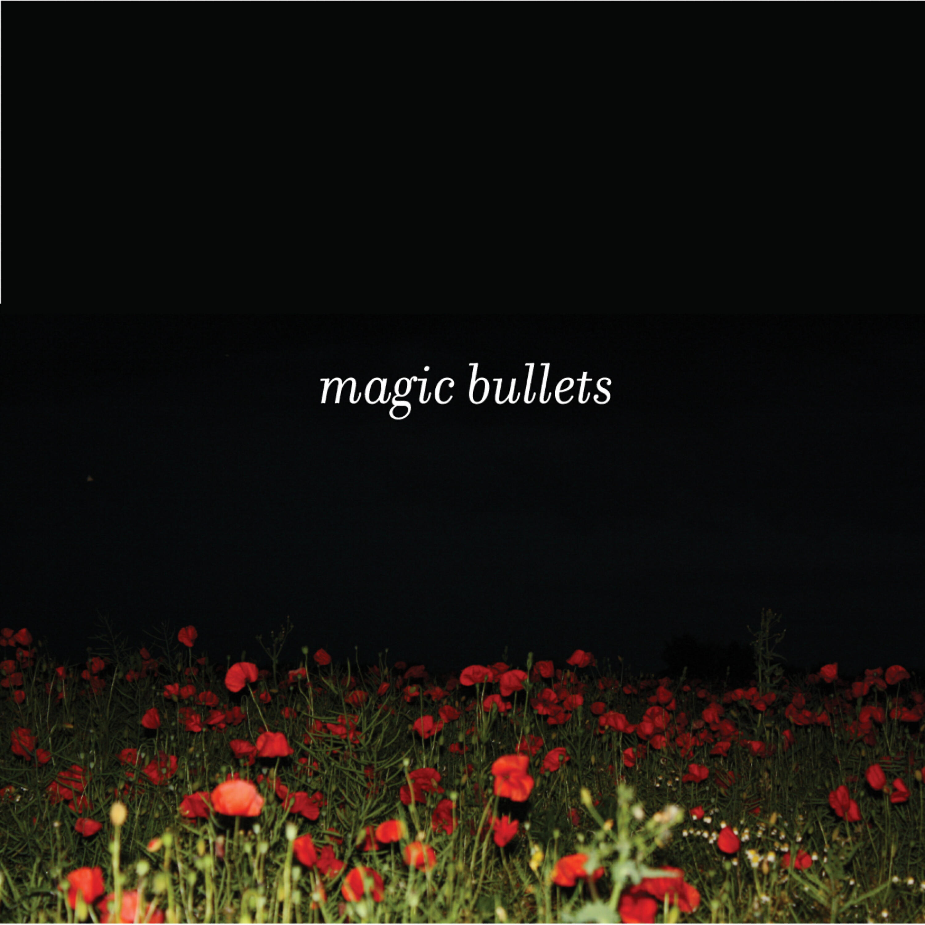 Magic Bullets - A Day Not So Far Off