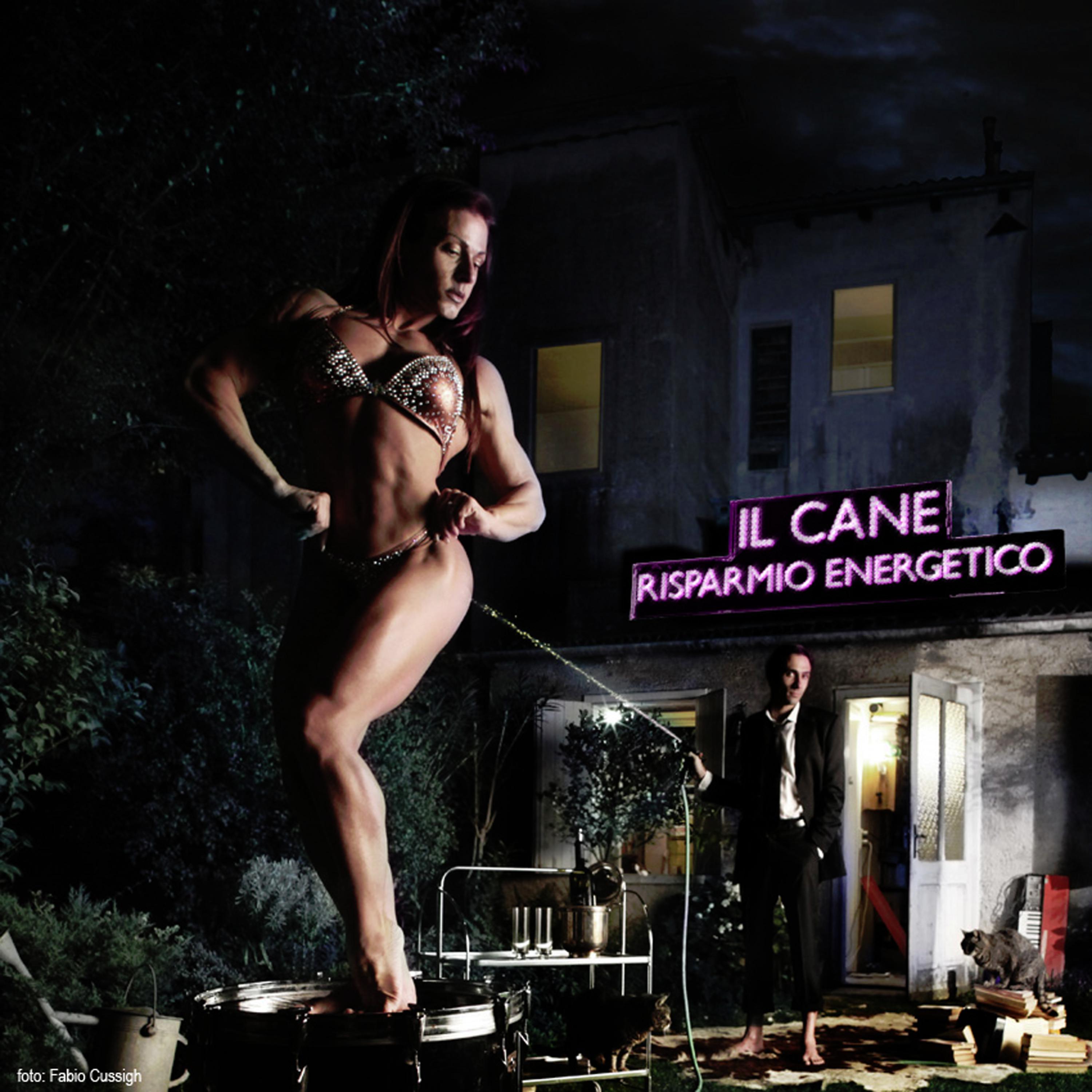 Постер альбома Il Cane