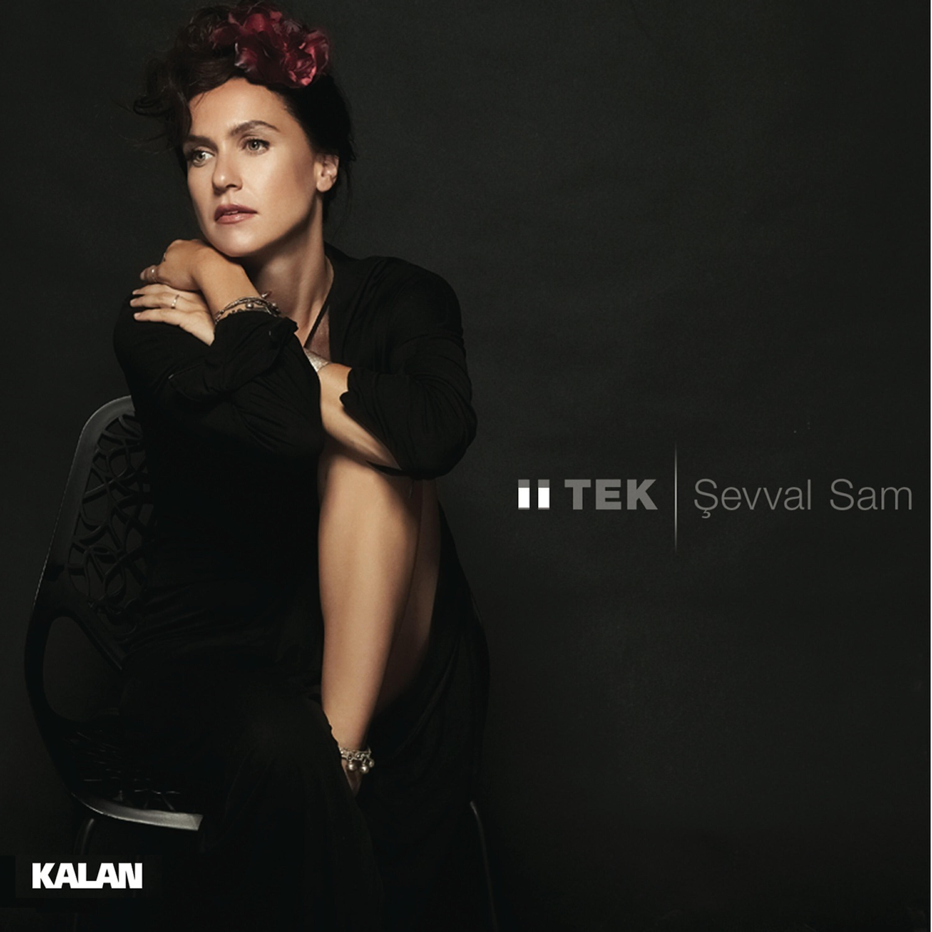 Şevval Sam - Kanatları Gümüş Yavru