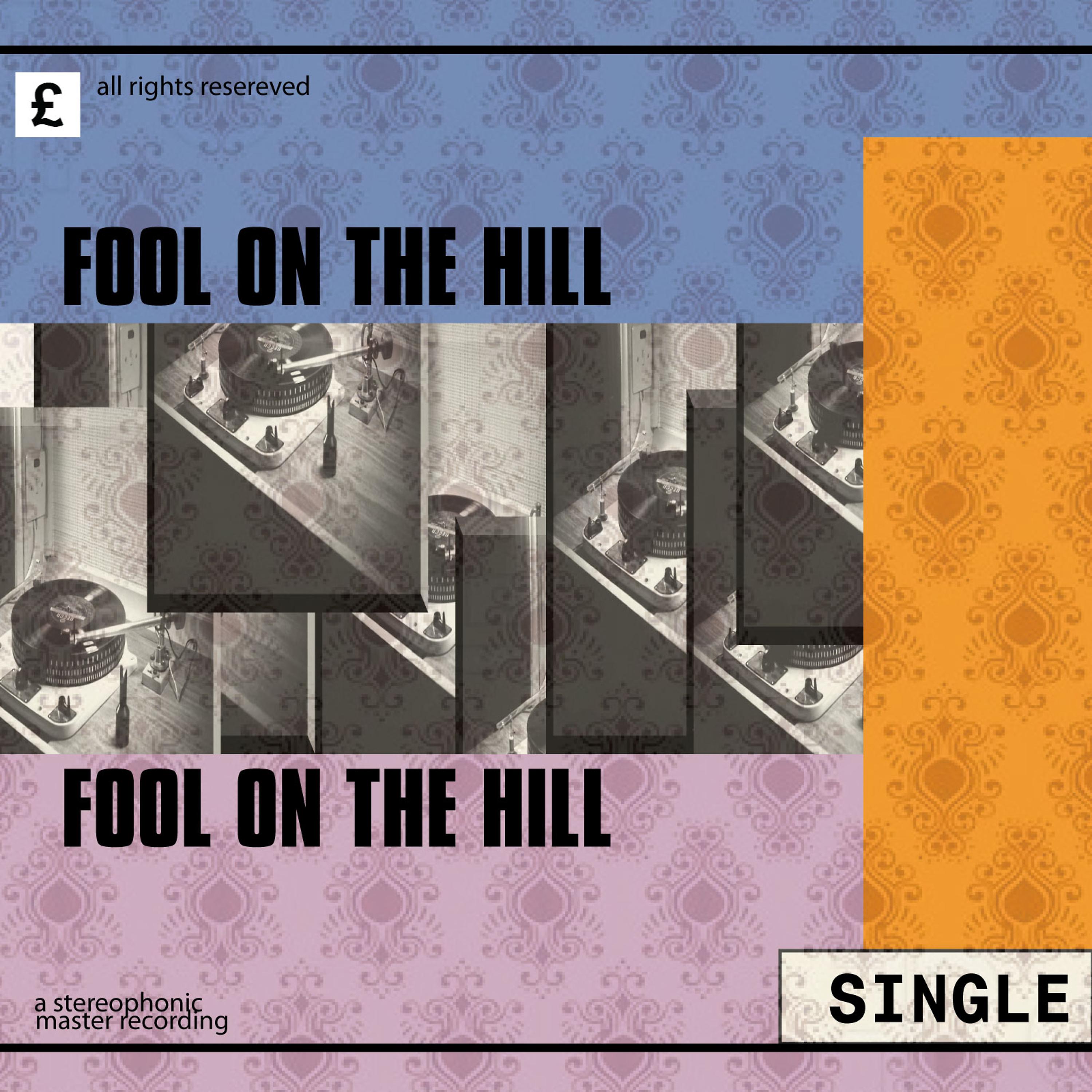 Постер альбома Fool On the Hill
