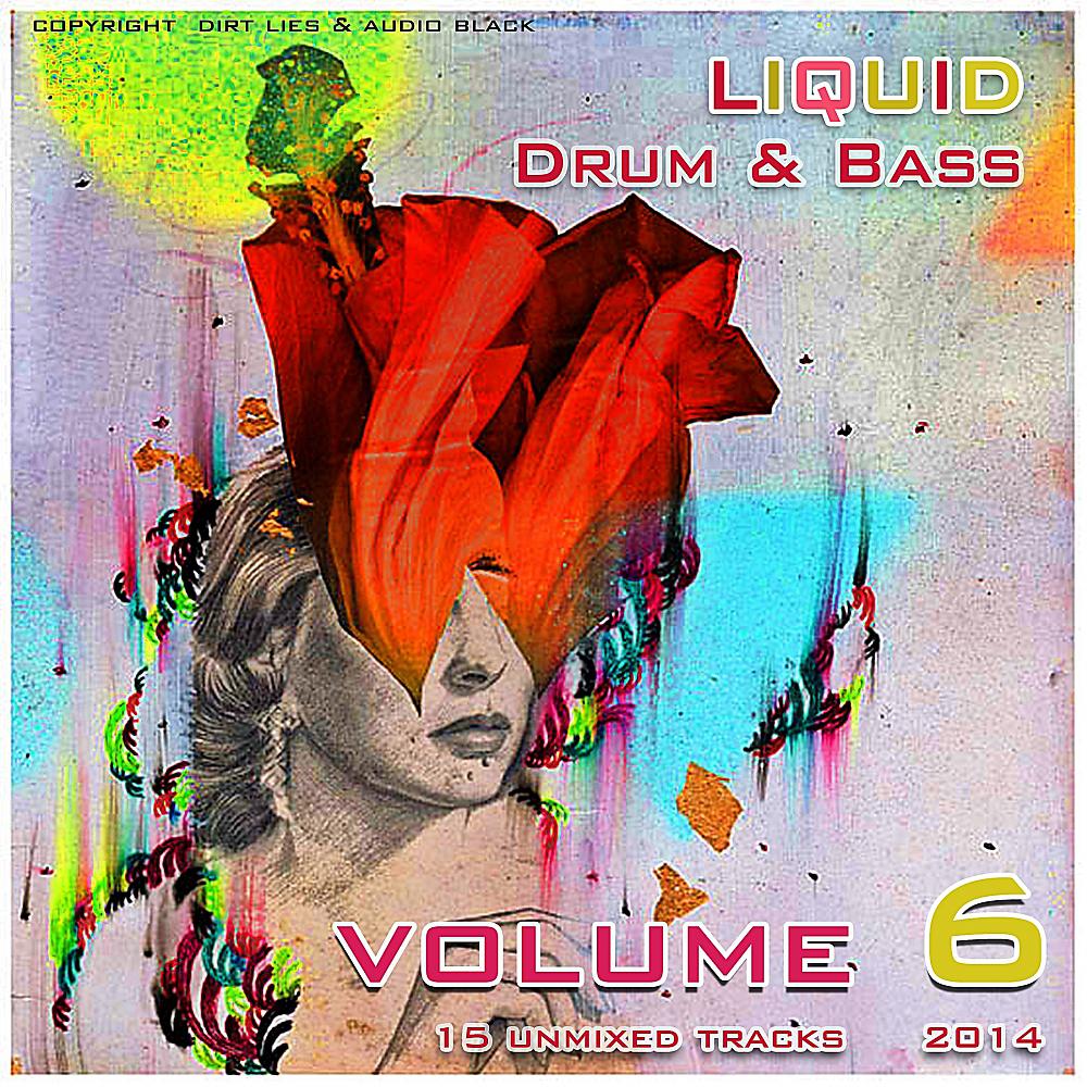 Постер альбома Liquid D&B Essentials 2014 Vol. 6