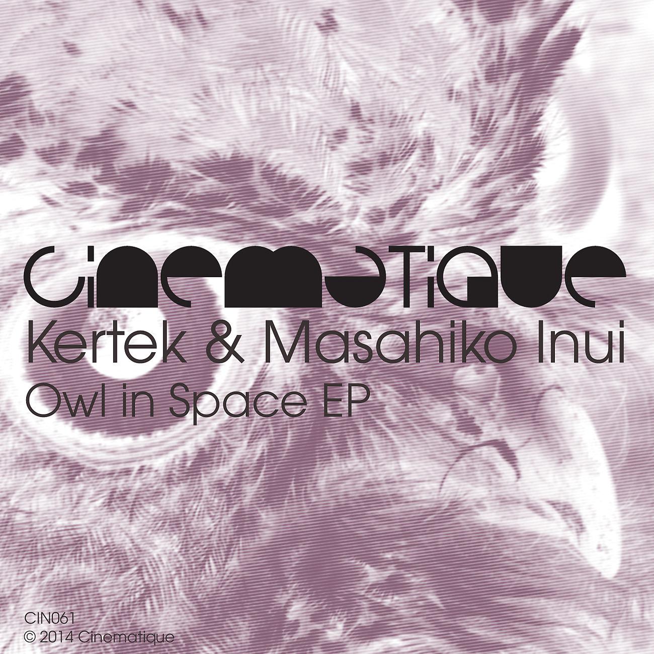 Постер альбома Owl In Space EP