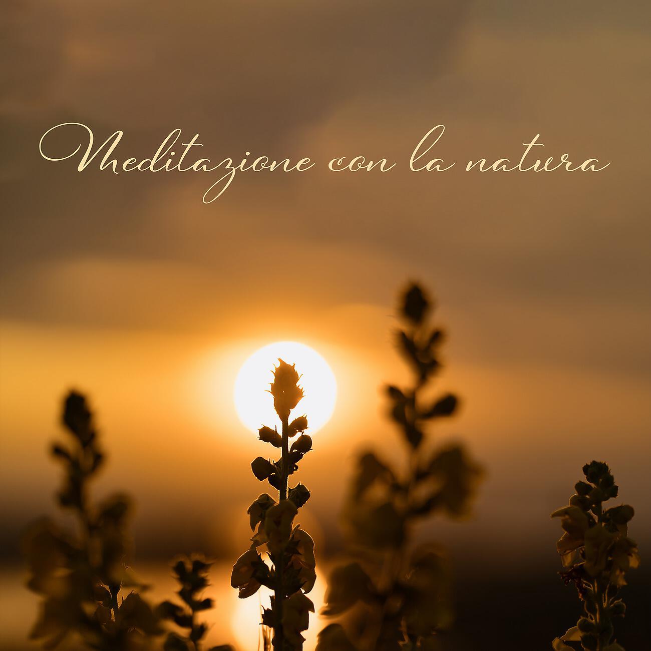 Musica Terapeutica Naturale - Rilassamento della mente