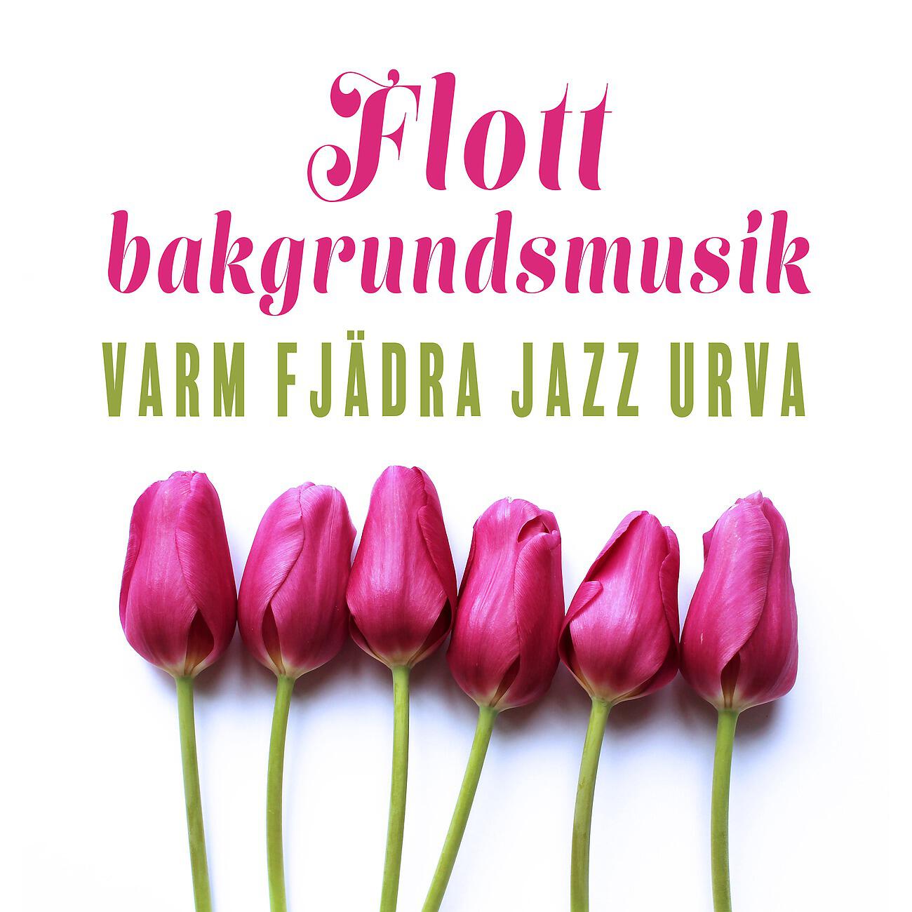 Jazz Night Music Paradise - Groove humör kaffe