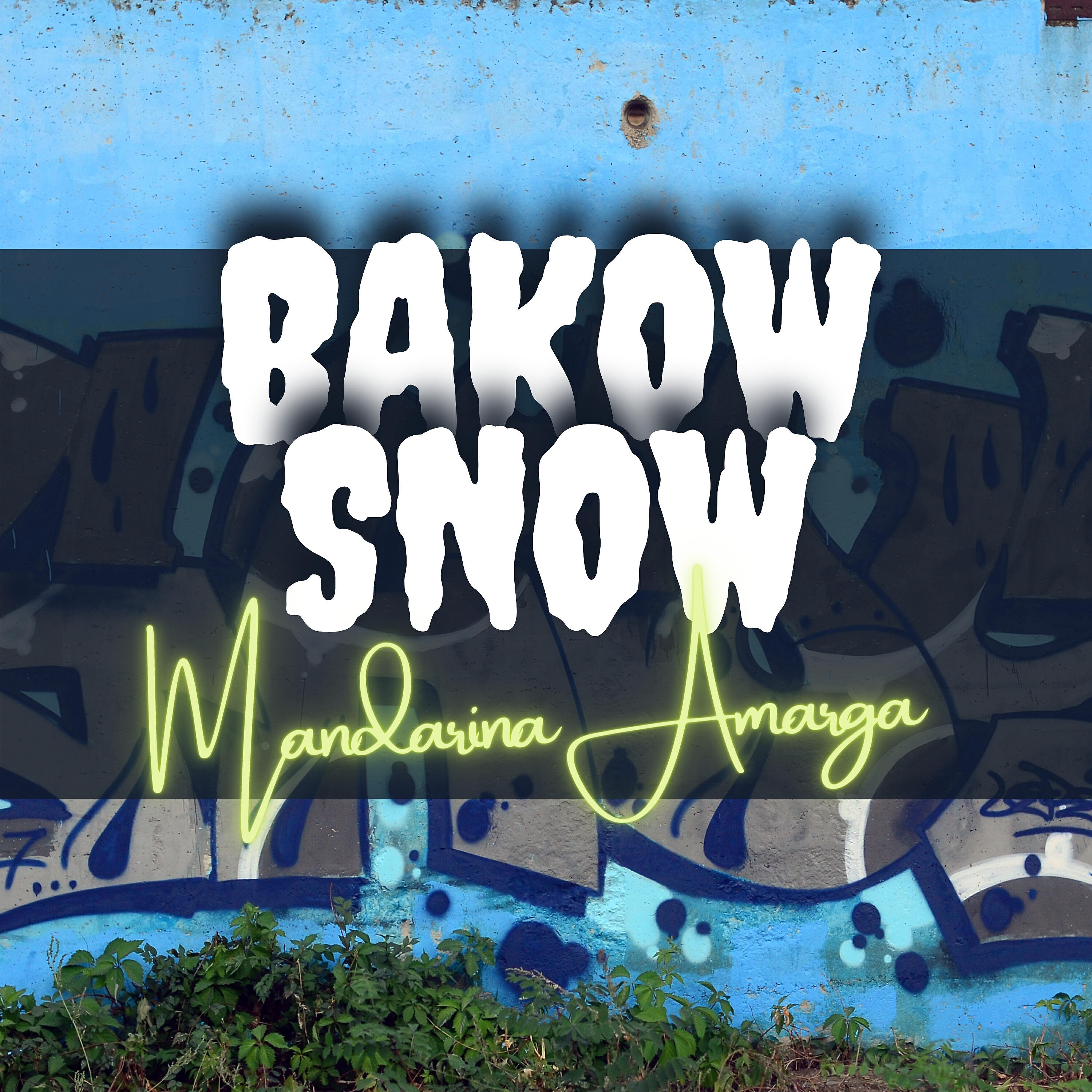 VAKOW SNOW - Los Renegados