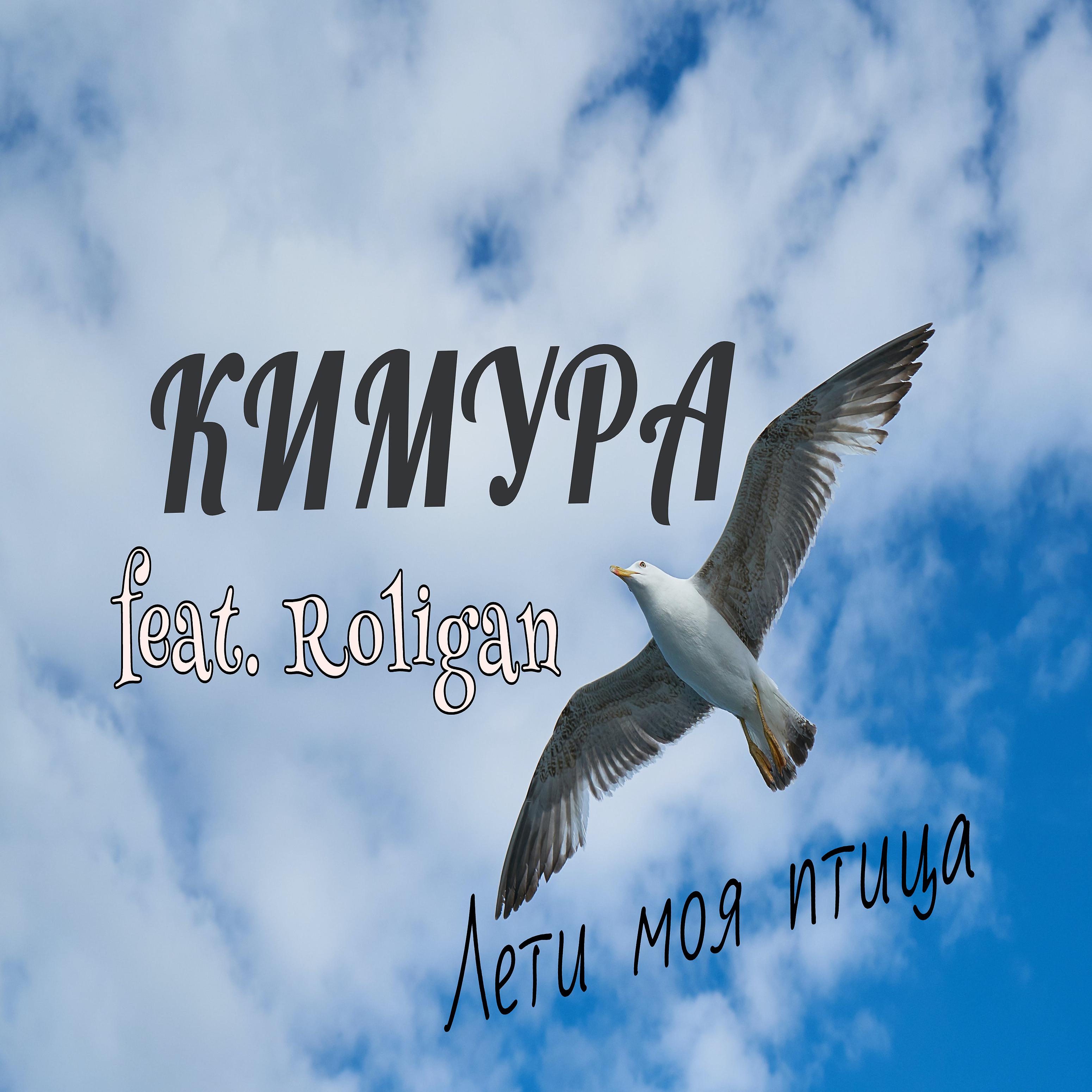 Постер альбома Лети моя птица (feat. Roligan)