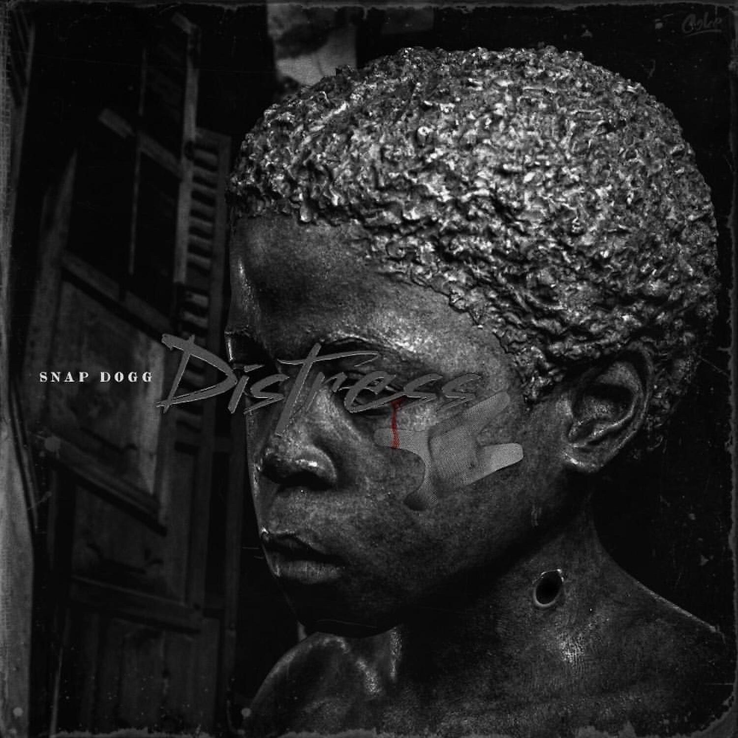 Snap Dogg - Distress