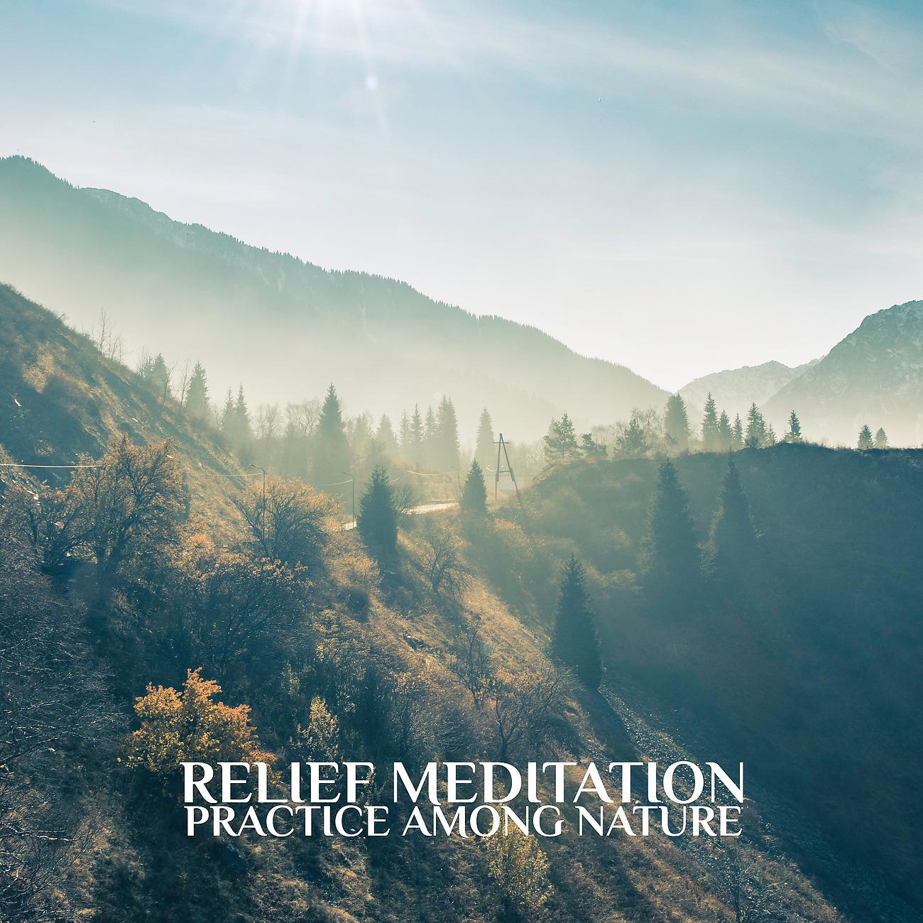 Постер альбома Relief Meditation - Practice Among Nature