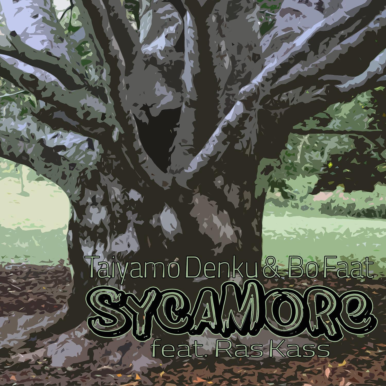 Taiyamo Denku - Sycamore