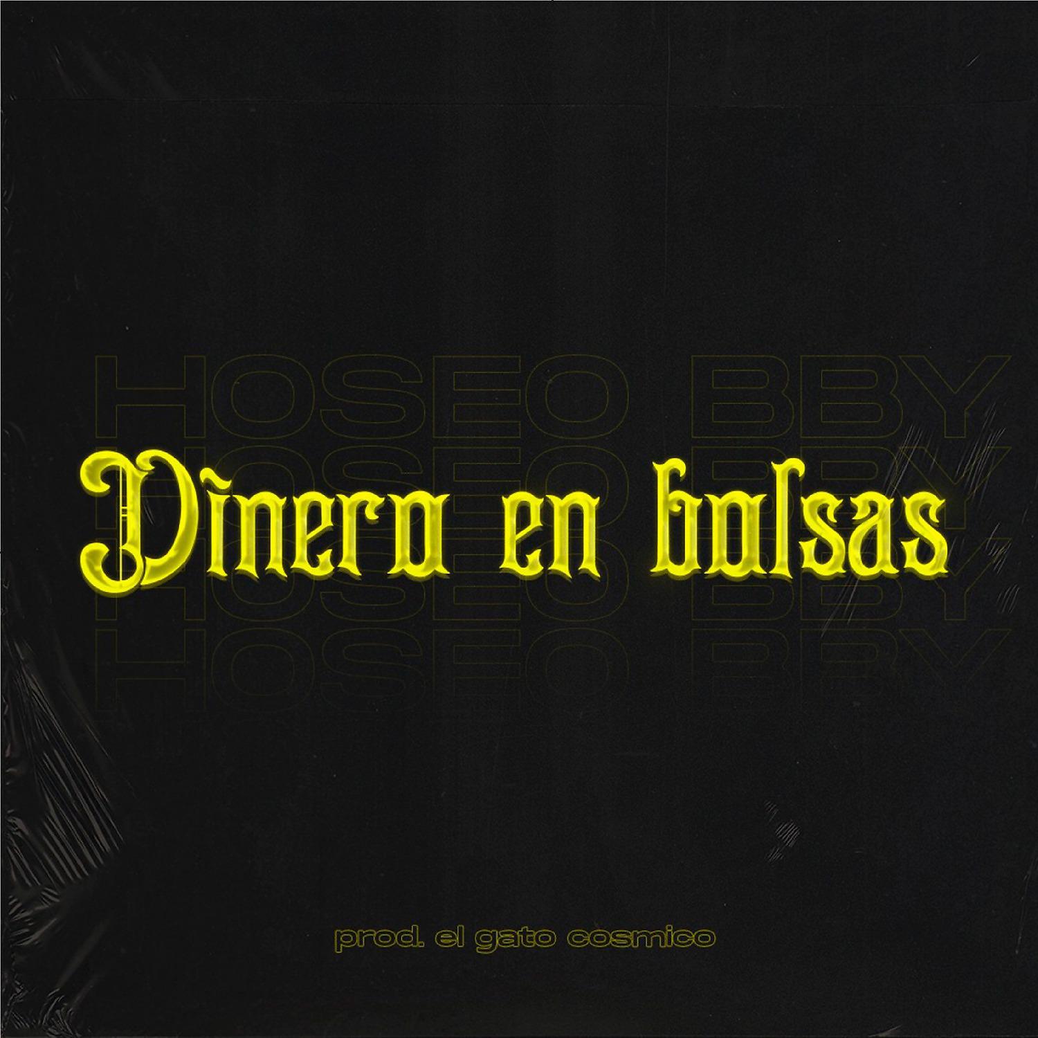 Постер альбома Dinero en bolsas