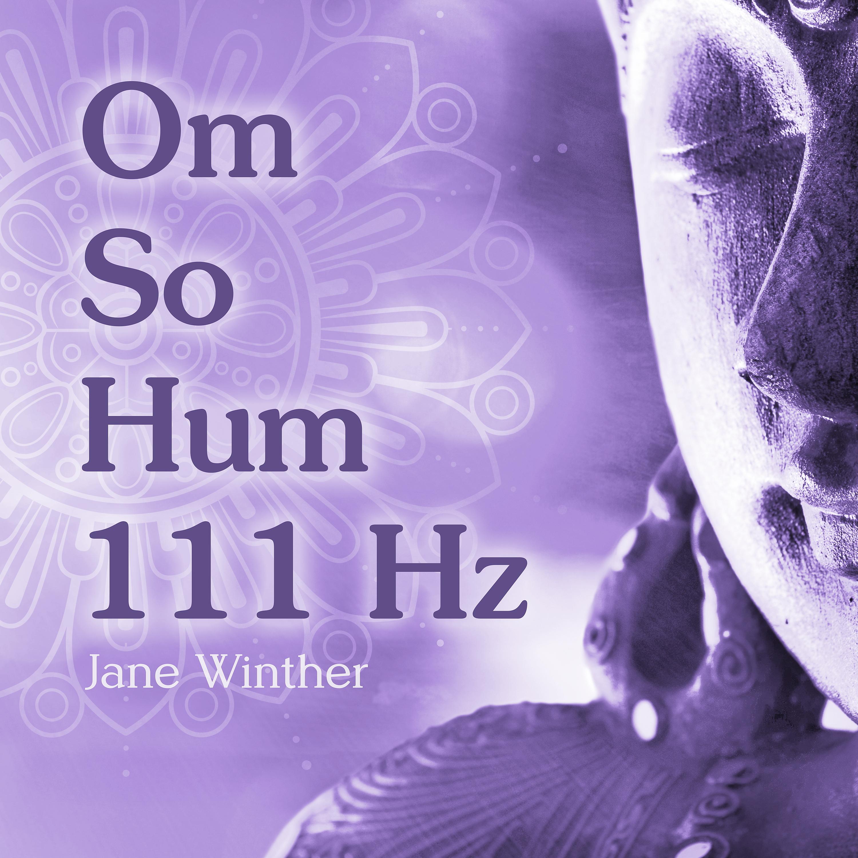 Постер альбома Om So Hum 111 Hz