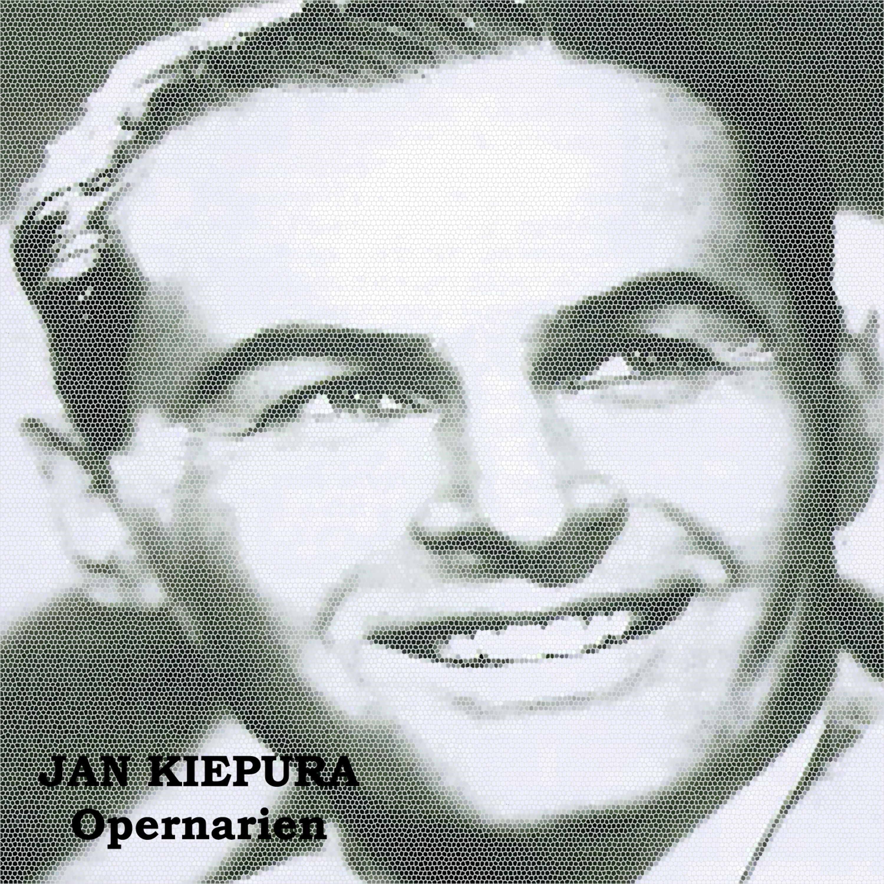 Постер альбома Opernarien