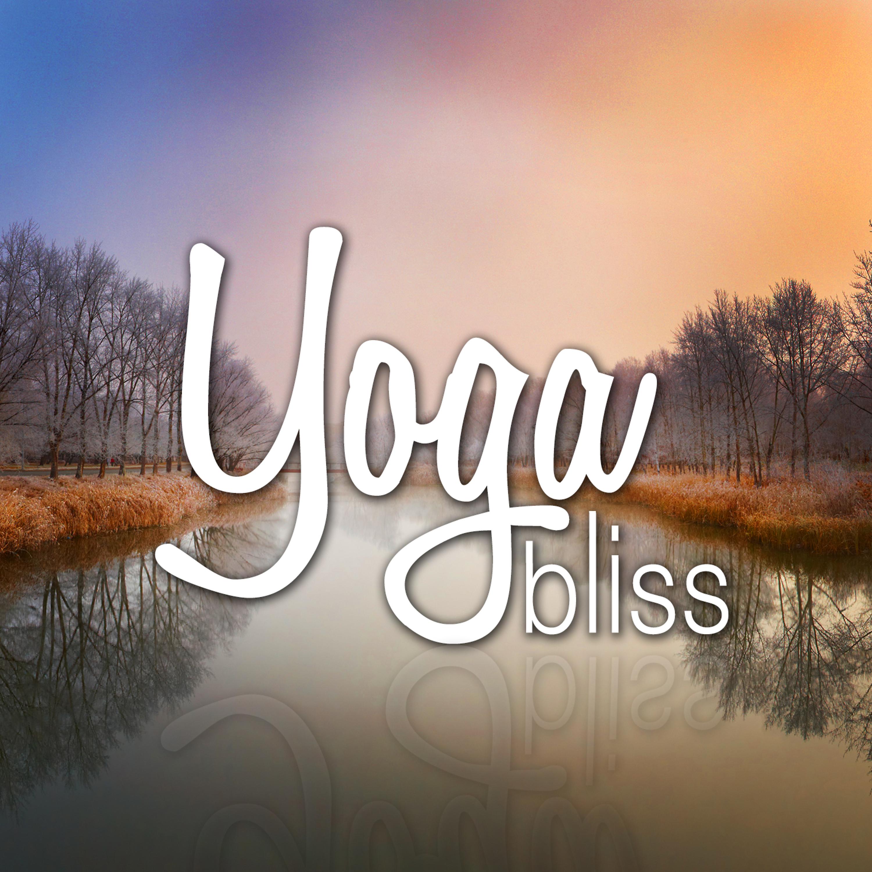Постер альбома Yoga Bliss