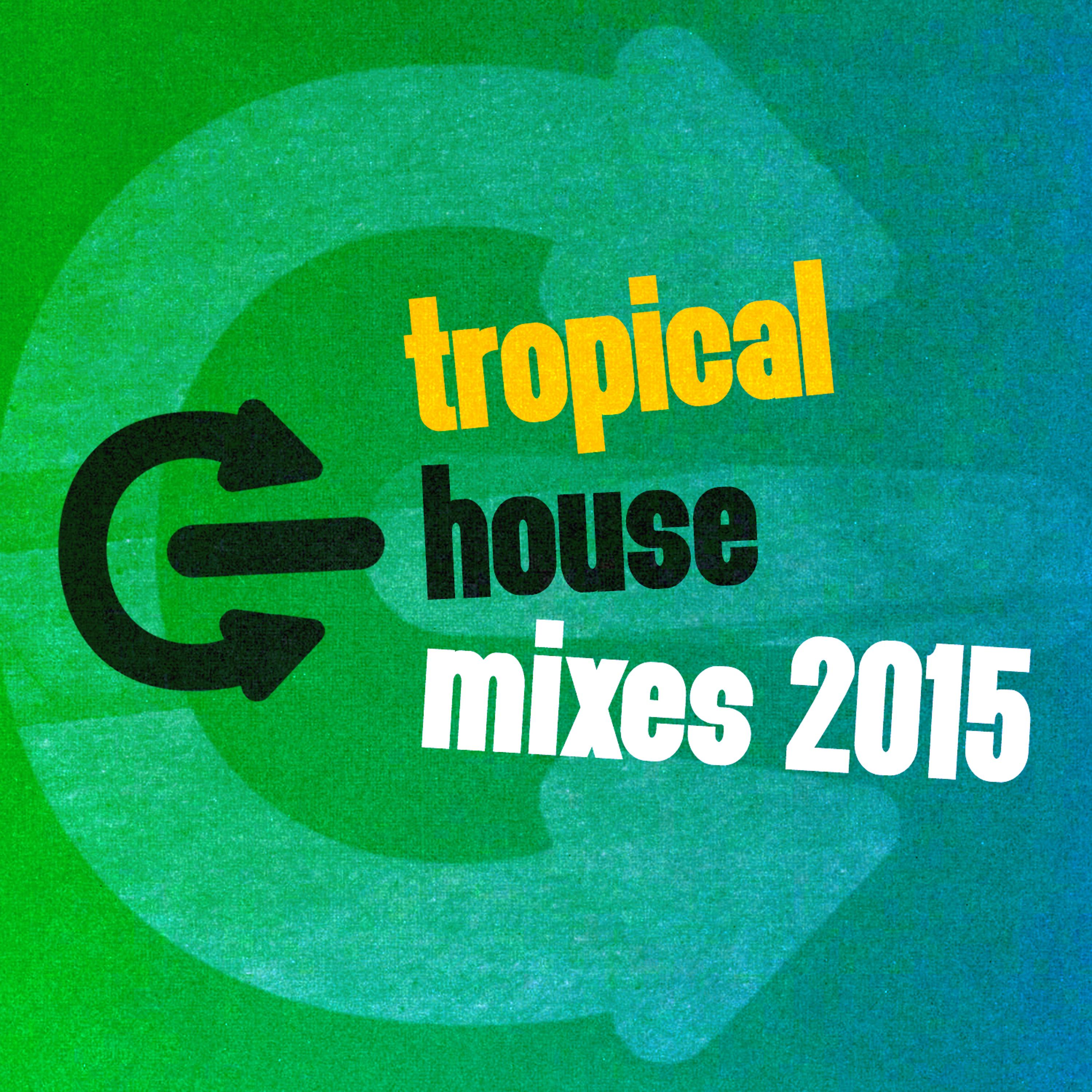 Постер альбома Tropical House Mixes 2015