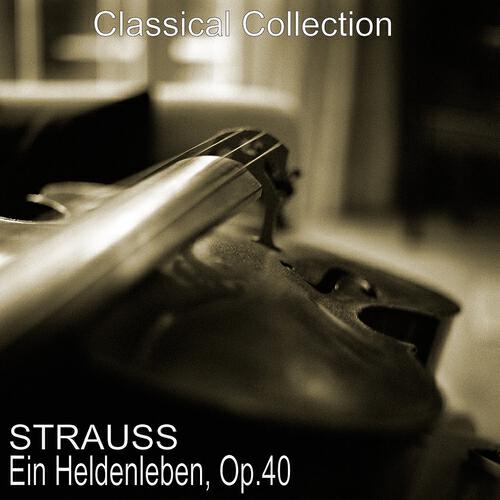 Berliner Philharmoniker - Ein Heldenleben, Op. 40: No. 3, Des Helden Gefährtin
