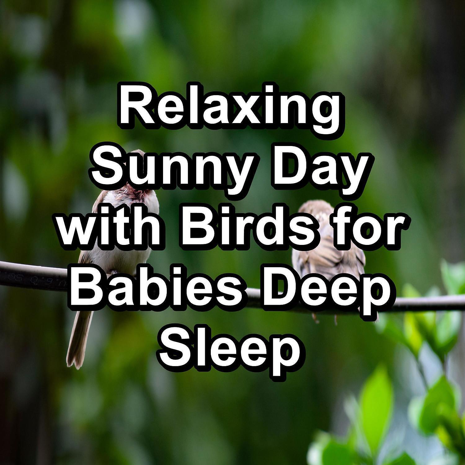 Nature - Ambient Nature Sounds ASMR Instant Relaxing To Loop for 8 Hours