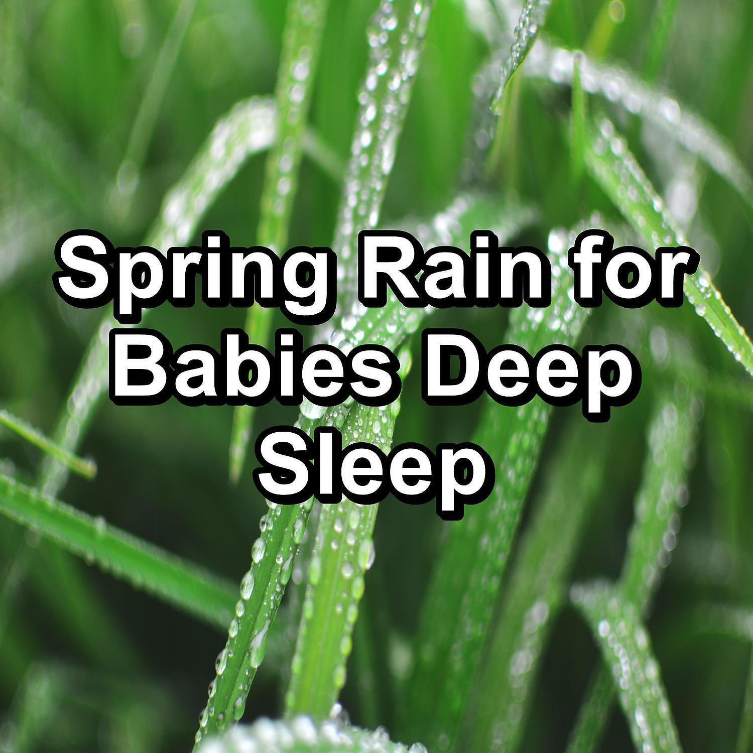 Sleep Songs 101 - Quiet Rain Showers To Help You Sleep