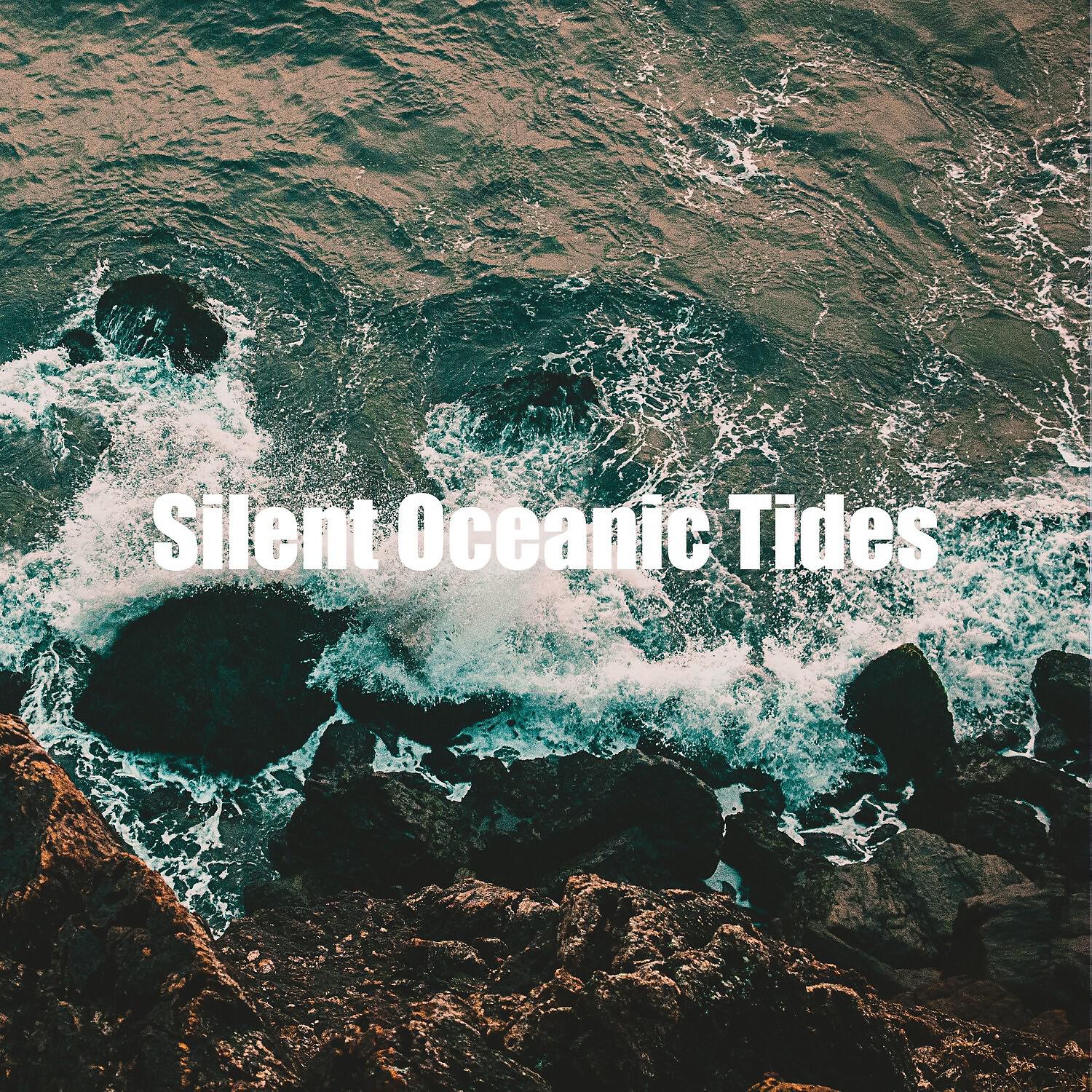 Ocean Sound Sleep Baby - Silent Oceanic Tides