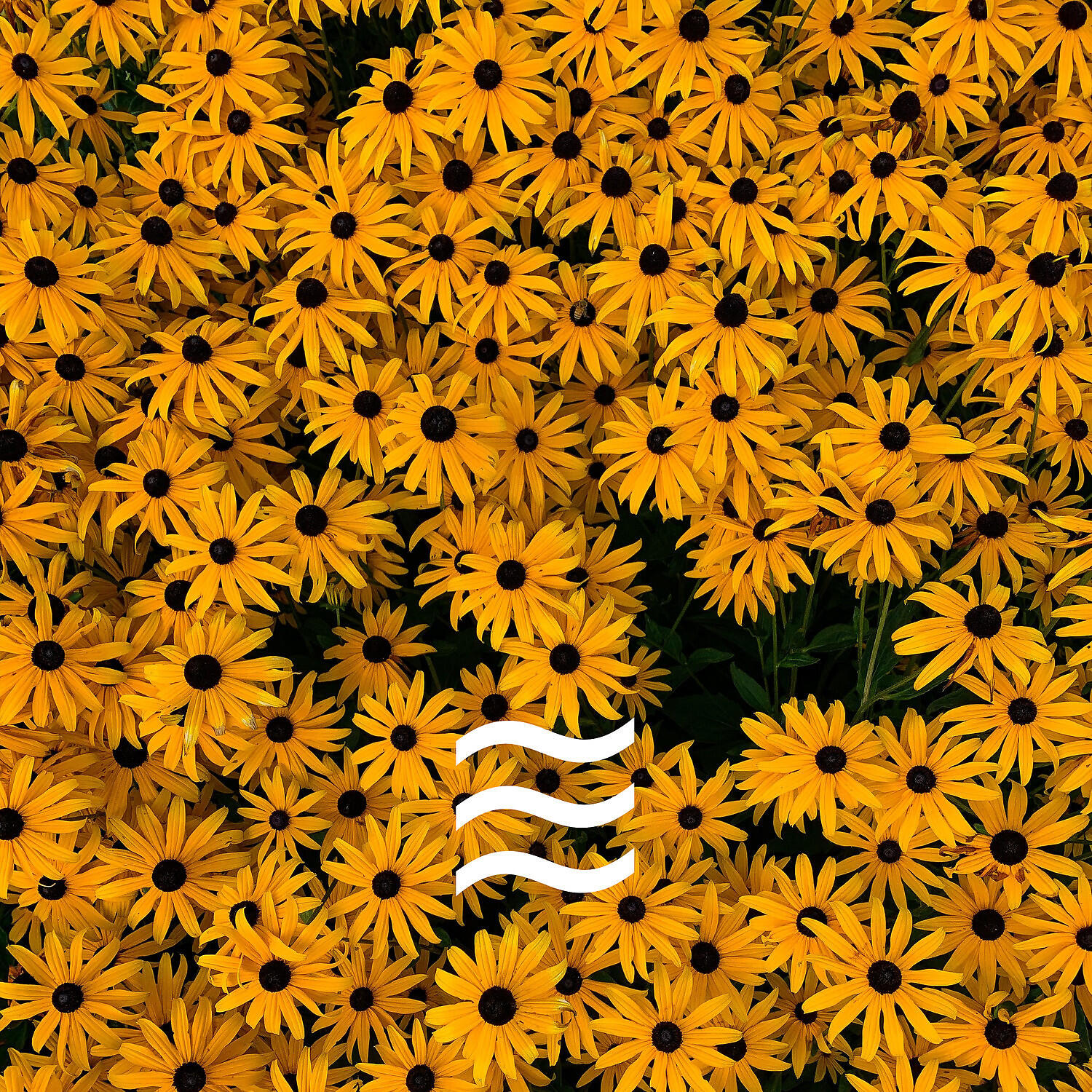 Enjoyful Brown Soughs Sounds for Deep Relax - Enjoyful Soft Sound of Calm Noise