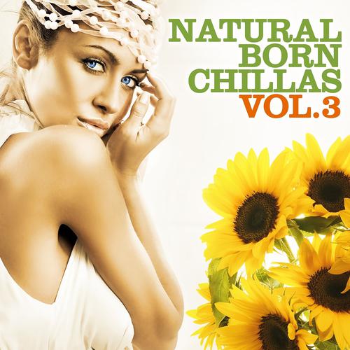 Постер альбома Natural Born Chillas, Vol. 3