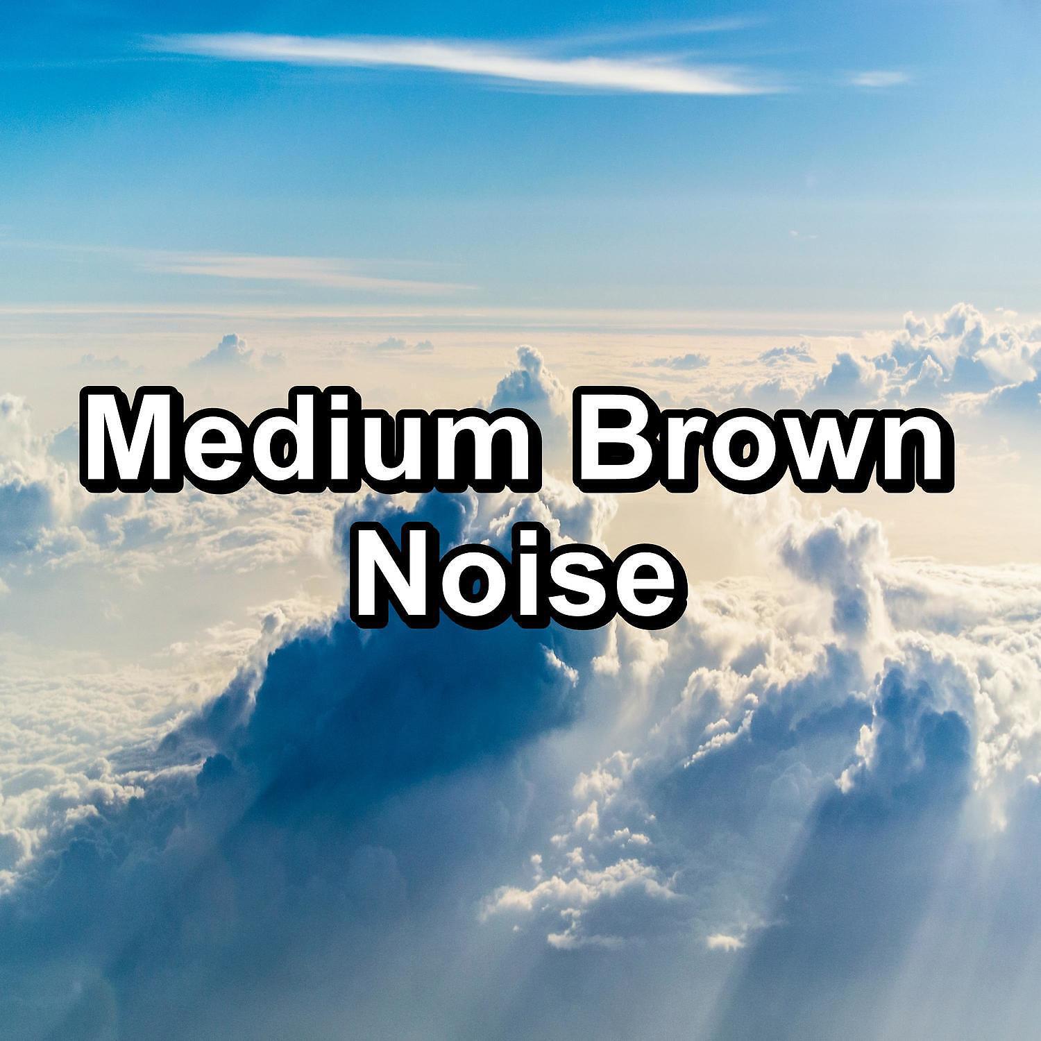 Sleep Sound Library - Womb Sounds Bear Loopable