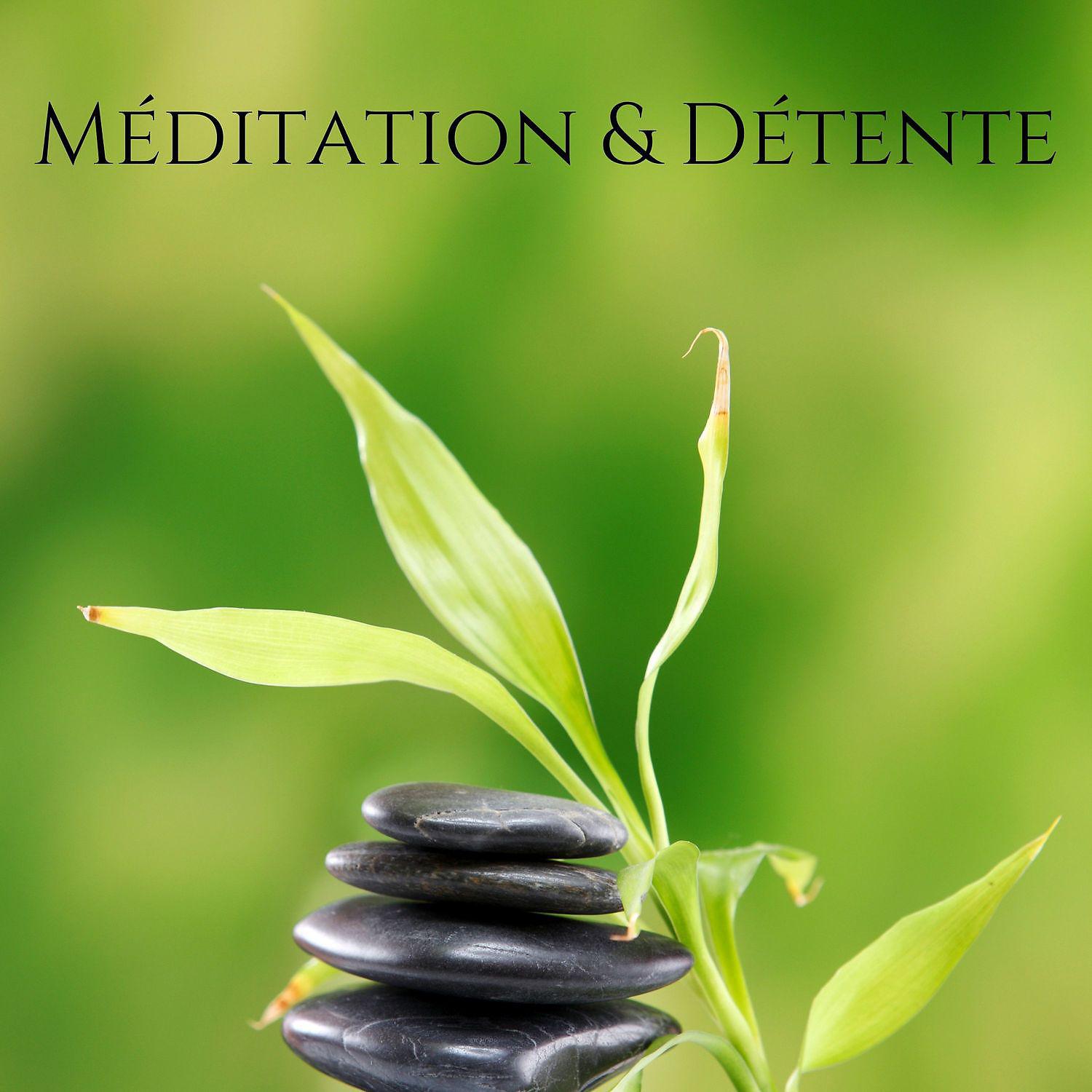 Постер альбома Méditation & Détente: Sons de l'eau relaxants