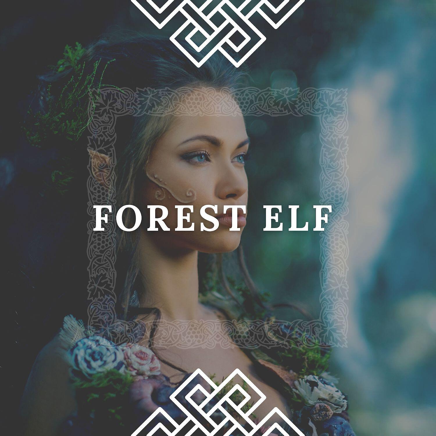 Relax Viking Music - The Mystical Forest