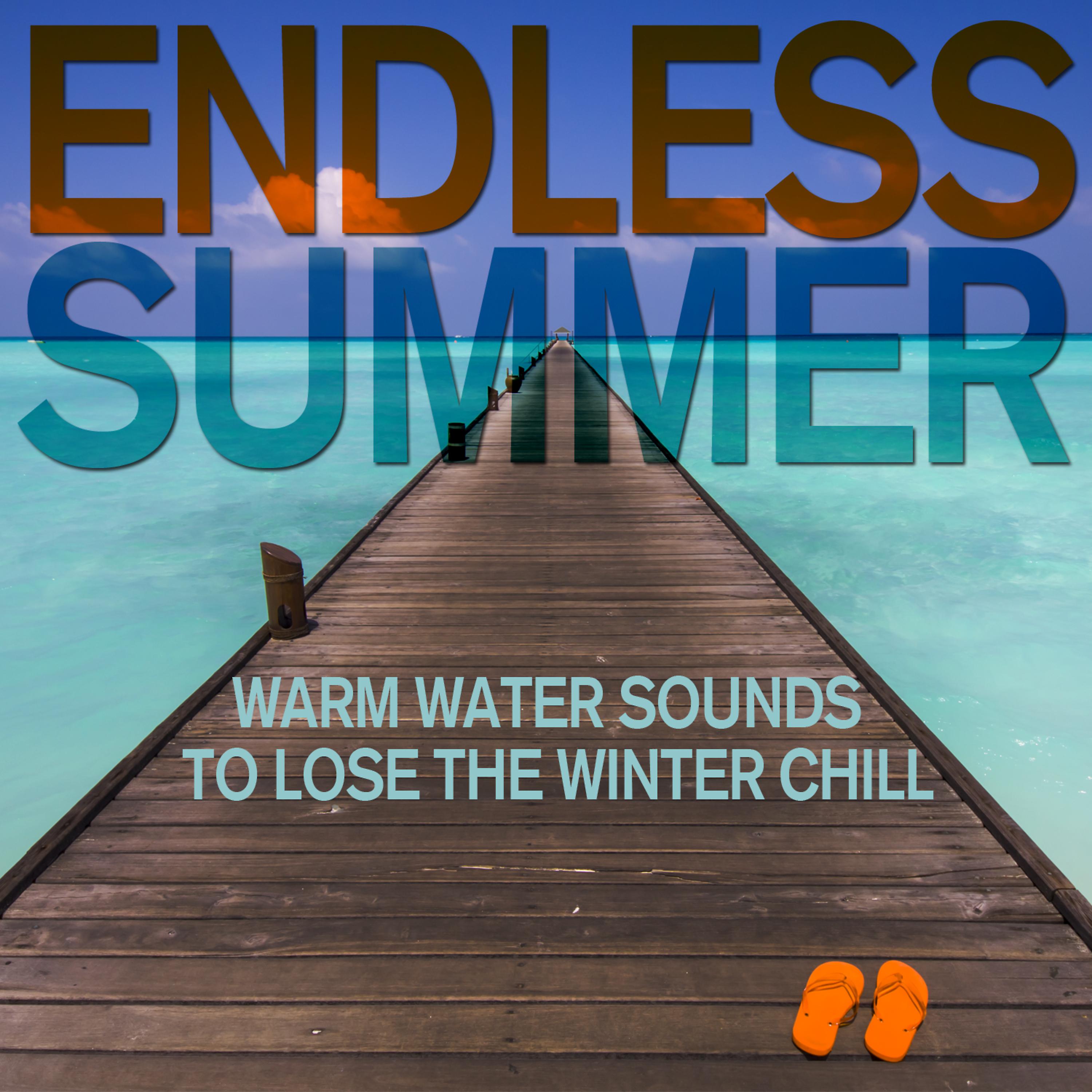 Постер альбома Endless Summer - Warm Water Sounds of Lakes and Ponds to Lose the Winter Chill for Yoga, Massage, Relaxation. And More!