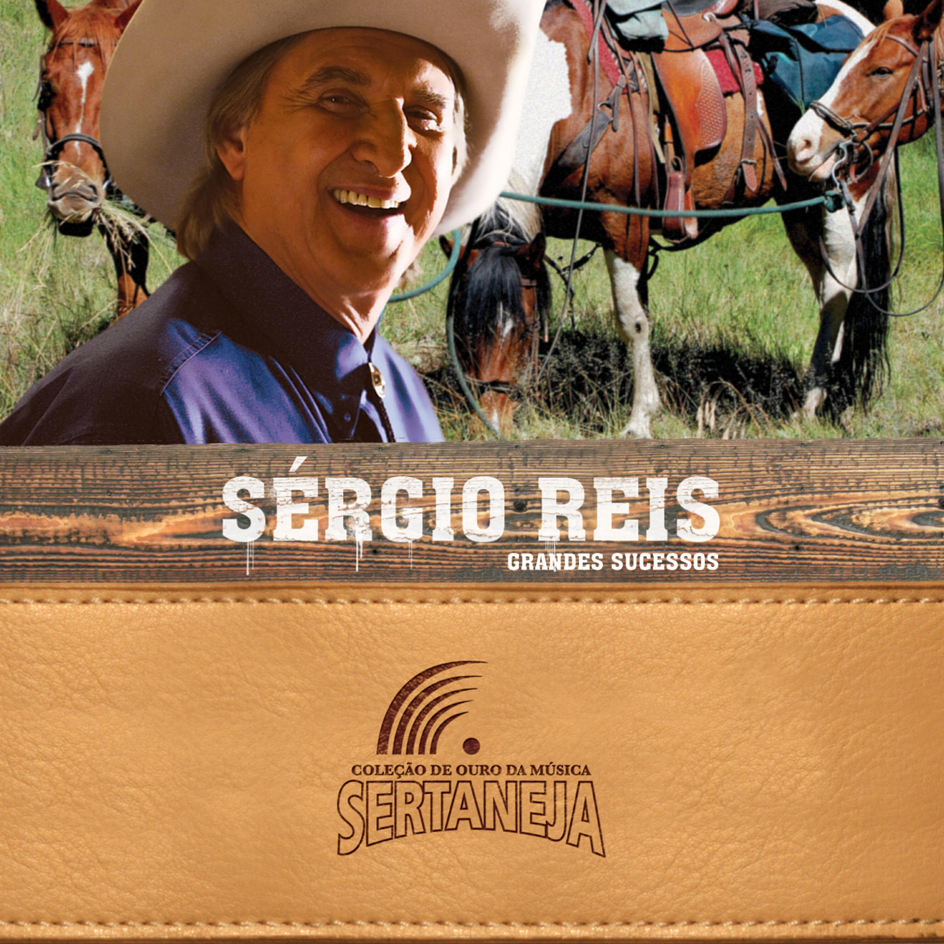 Sergio Reis - Som Da Viola