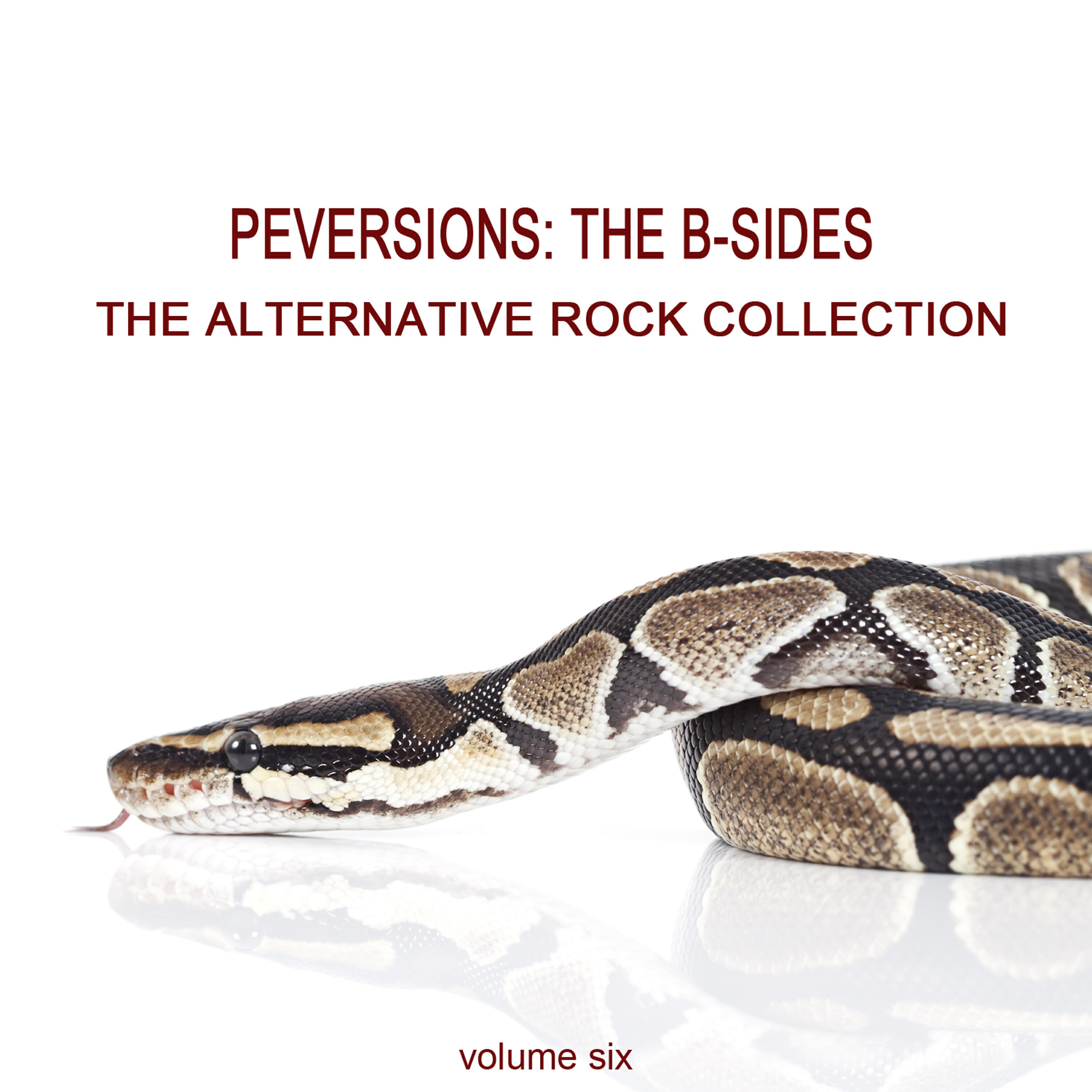 Vagabond Lovers - Division Street