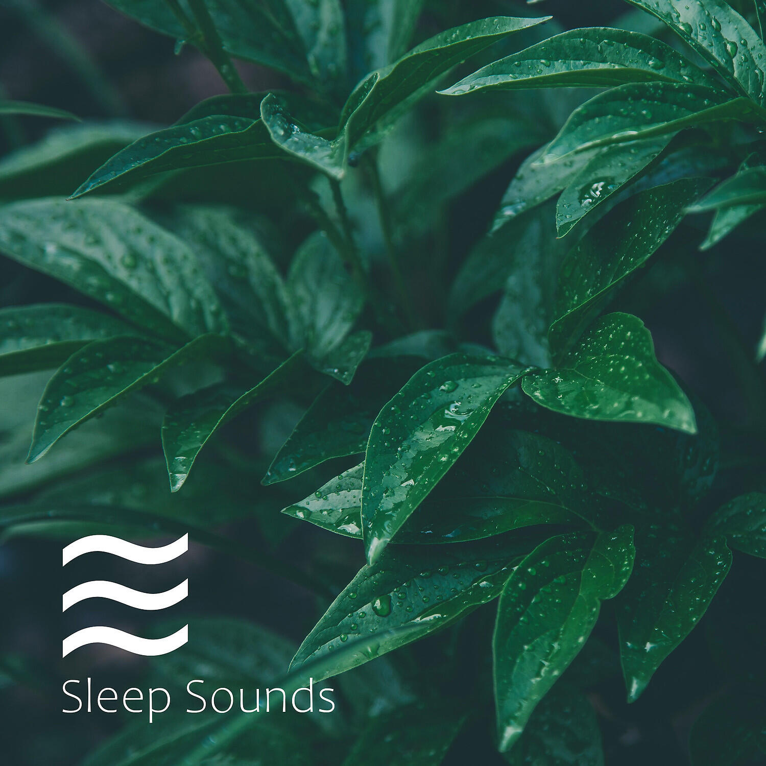 Noise Shushers for Infants - Soothing pink noise