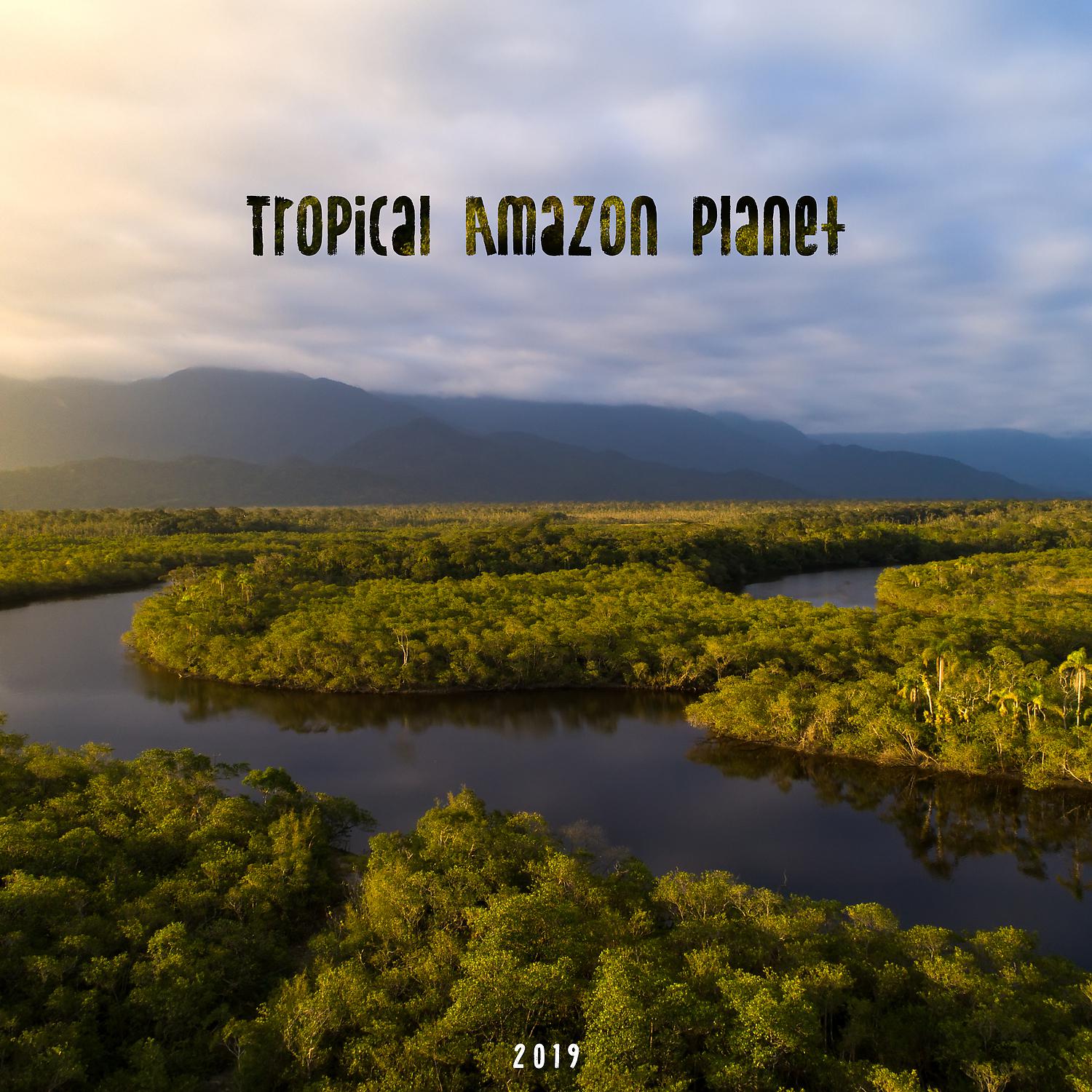 Постер альбома Tropical Amazon Planet 2019: Amazing Exotic Sounds