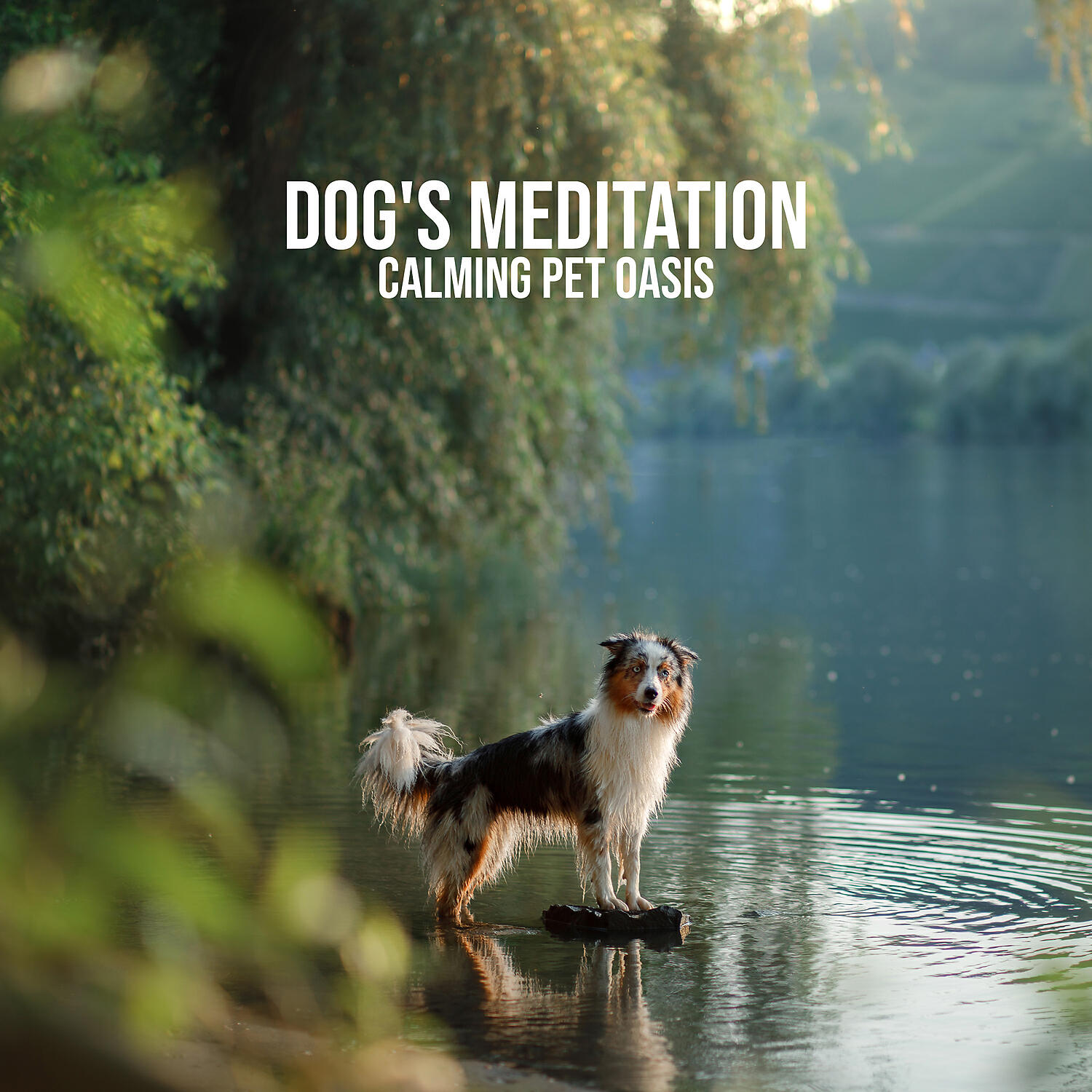 Pet Music Doctor - Stress Relieving Sea Waves